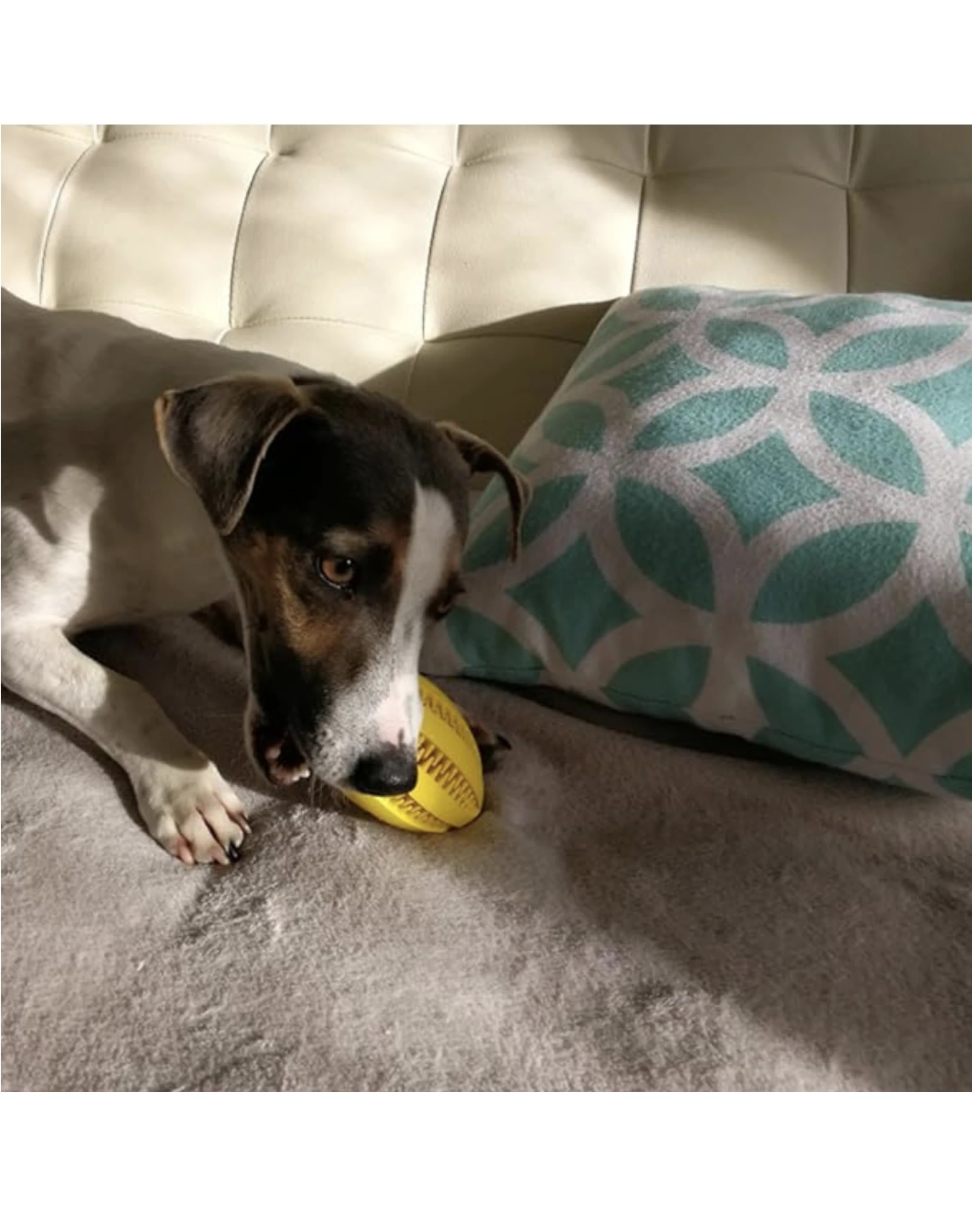 3 BR Pets Pet Dental Treat Dispensing Football Dog Toothbrush Toy, 3 of 4