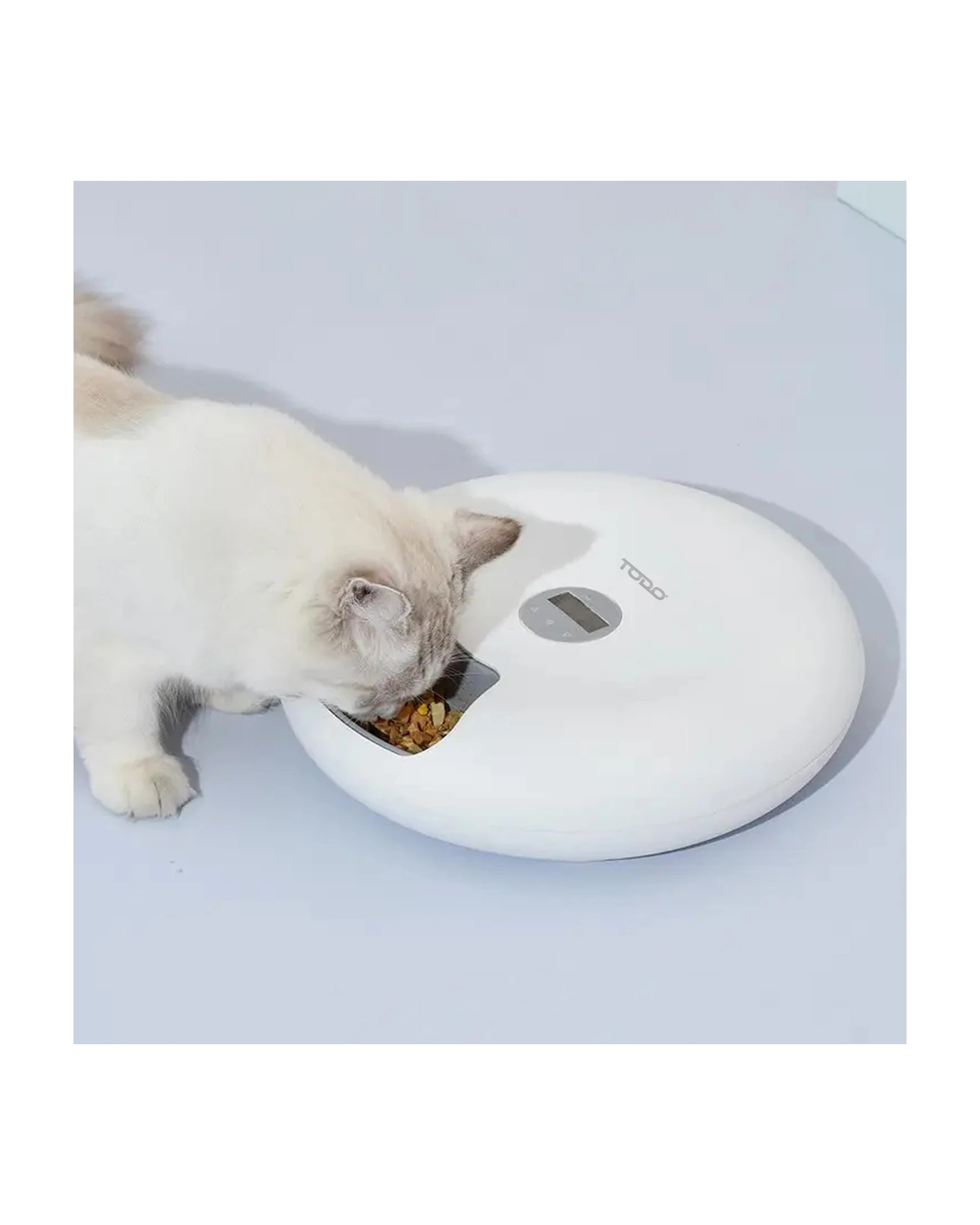 7 TODO 180ml x6 Meal Digital Lcd Automatic Pet Feeder Dog Cat Food Bowl Timer Pink, 7 of 8