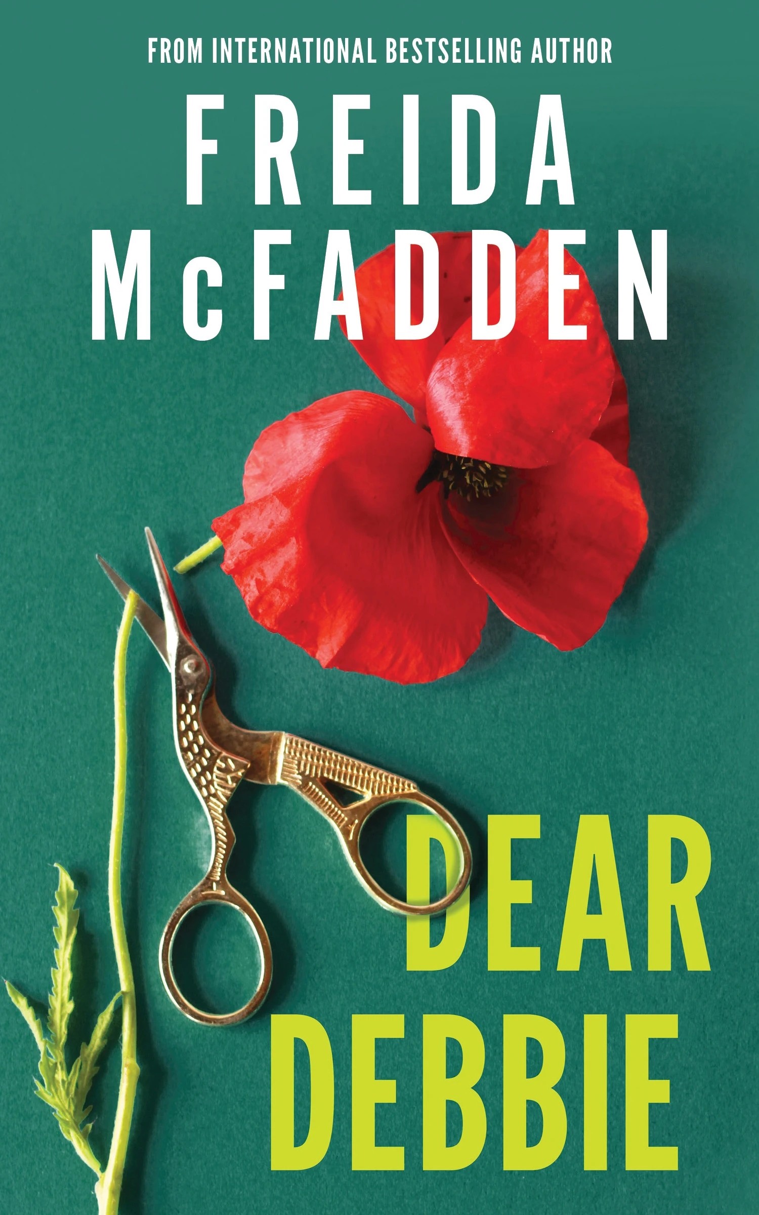 1 Dear Debbie by Freida McFadden - Book, 1 of 1