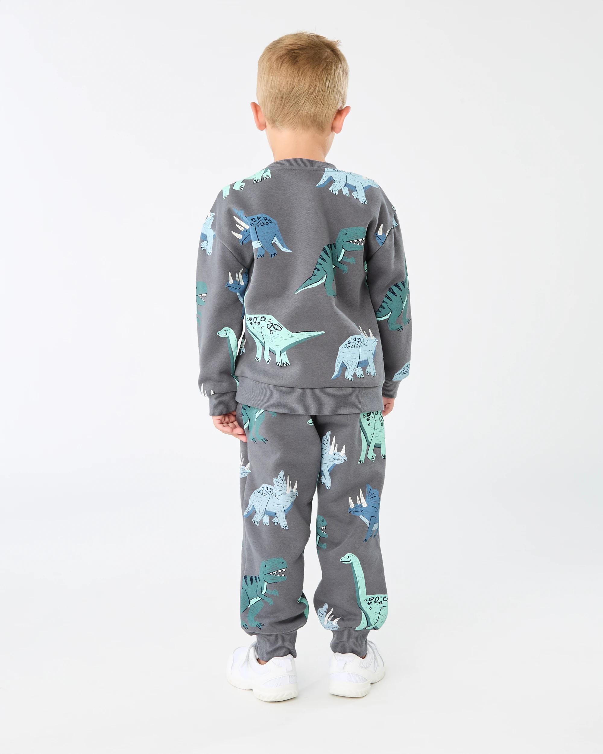 7 All Over Print Trackpants Gry Dino, 7 of 7