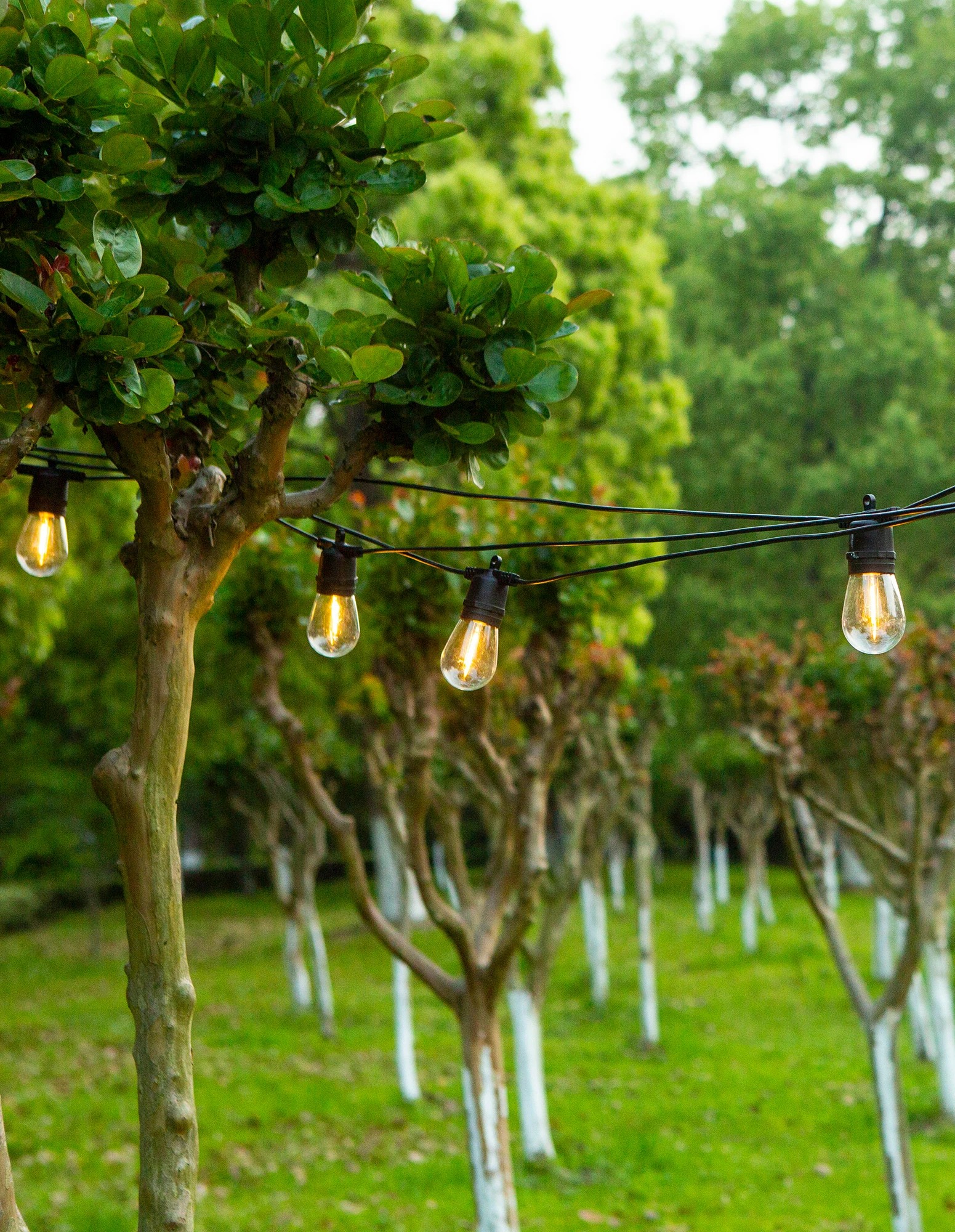 10 LumiFx 20 Bulb Solar Outdoor Festoon Lights - White, 10 of 10