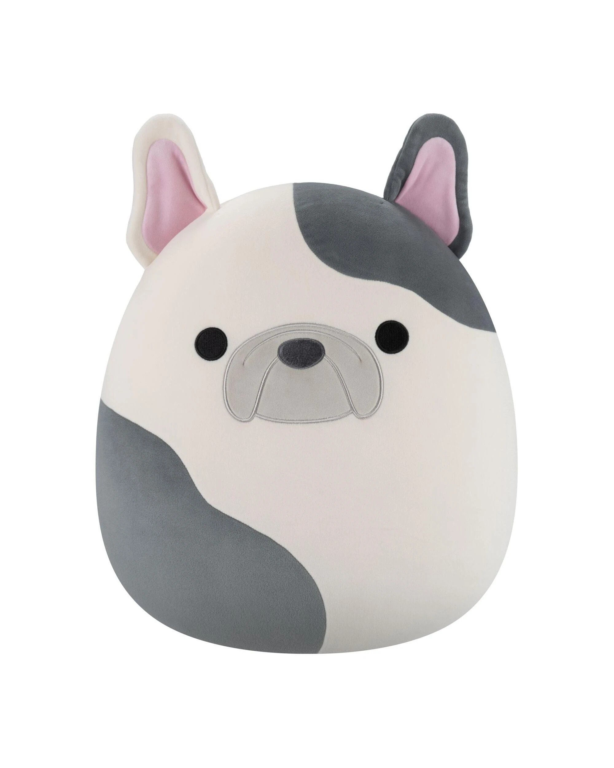 1 Squishmallows Carm the French Bulldog 16 inch Plush, 1 of 4