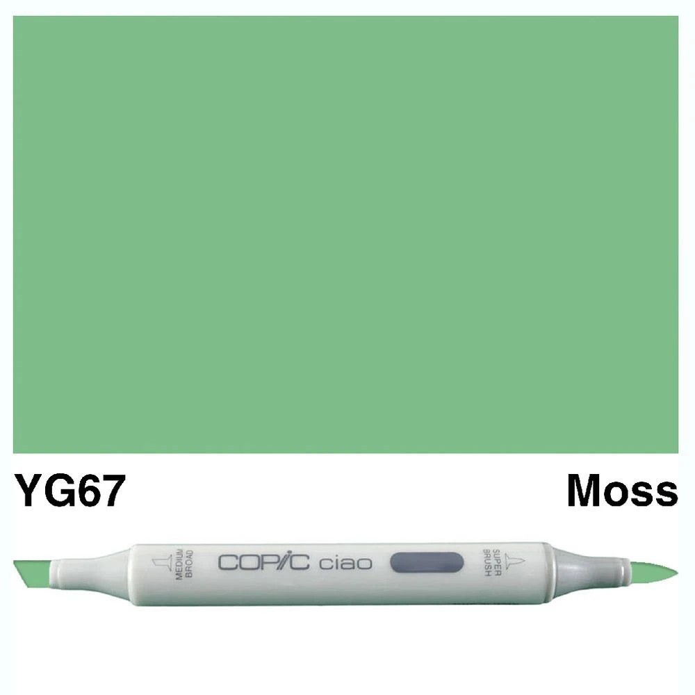 3 Copic Ciao Dual Nib Marker YG67 Moss, 3 of 3