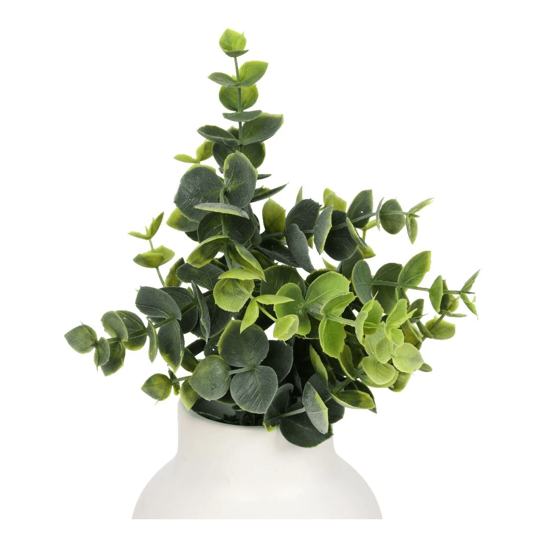 2 Otto Mini Plant Leaf, 2 of 3