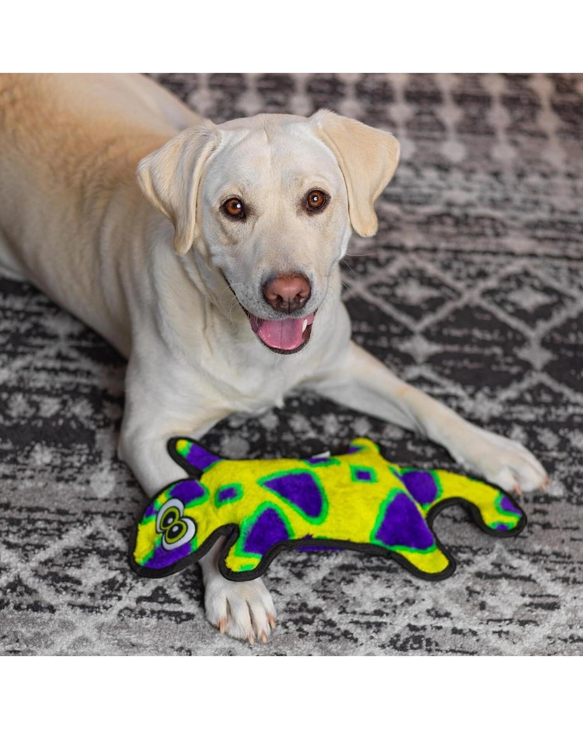4 Outward Hound Invincible Gecko Interactive Dog Toy with 4 Squeakers Yellow/Green, 4 of 4