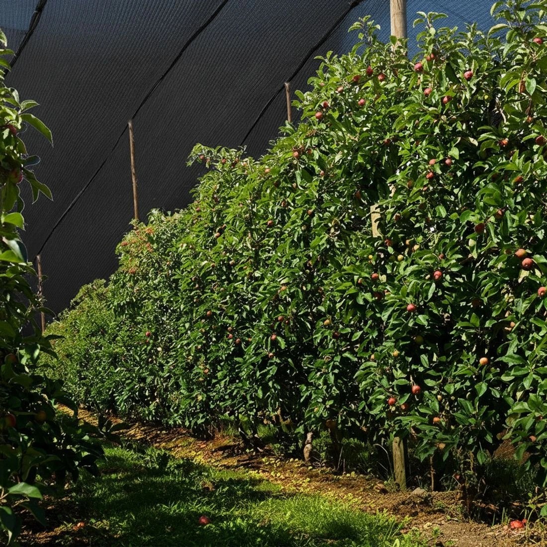 7 Instahut 30% Shade Cloth 3.66x30m Shadecloth Wide Heavy Duty - Black, 7 of 7