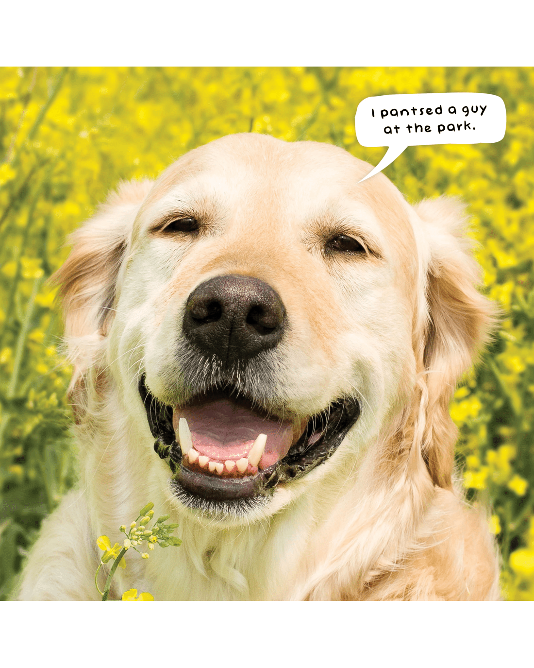 4 Doggy Shenanigans 2026 Calendar, 4 of 4