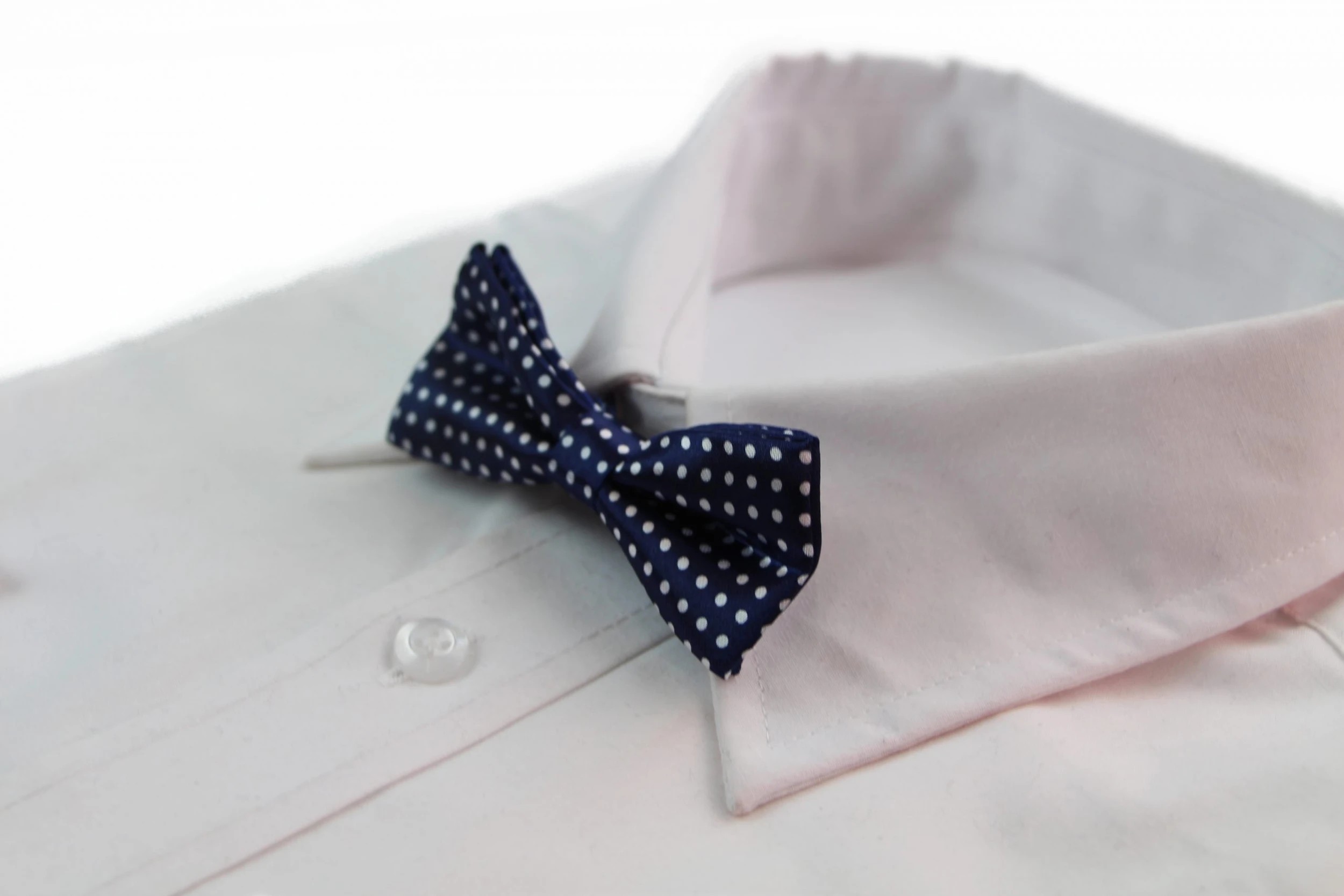 1 Zasel Boys Navy With White Small Polka Dots Patterned Bow Tie - Multi, 1 of 5