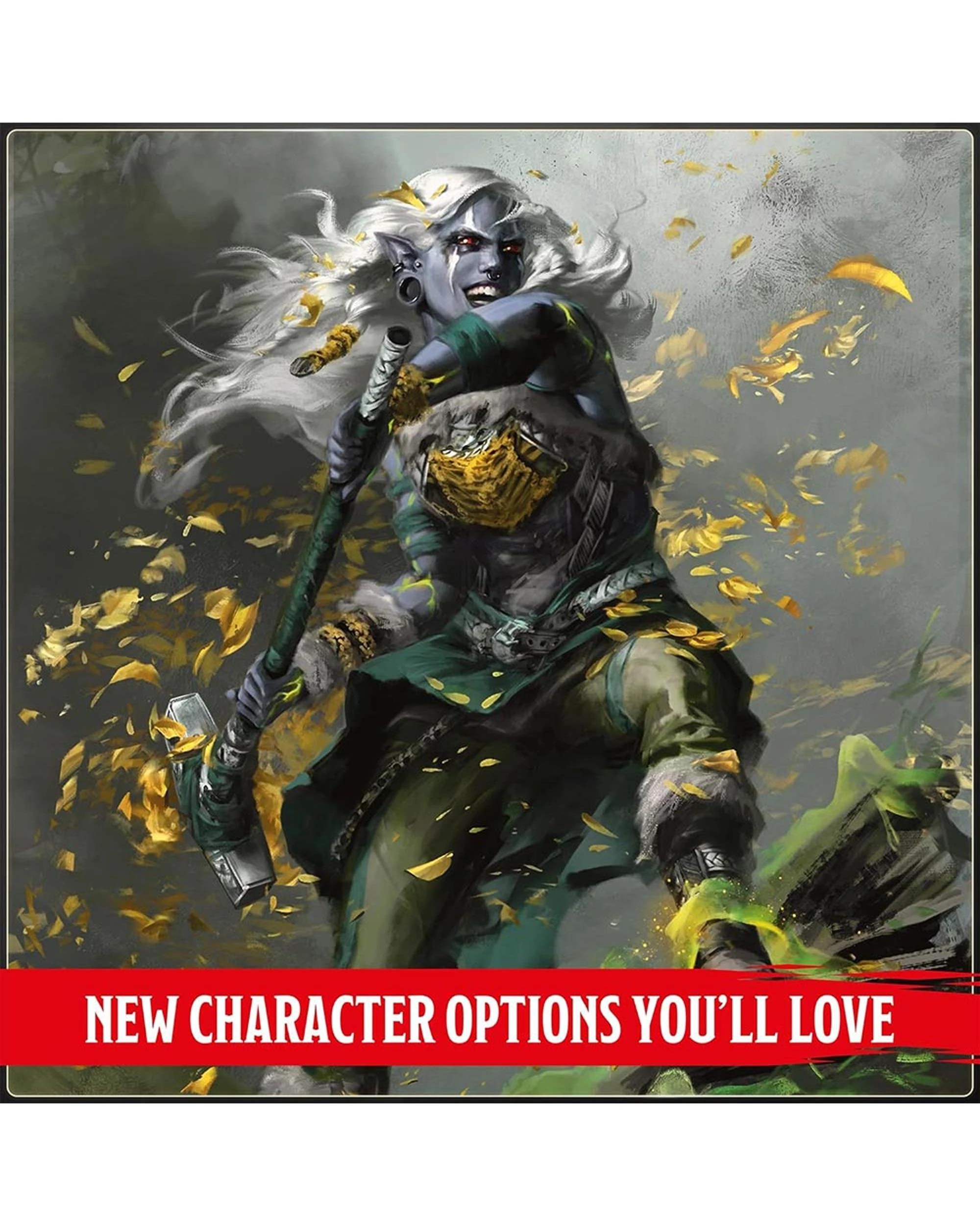 6 Wizards of the Coast Dungeons and Dragons: 2024 Players Handbook, 6 of 6