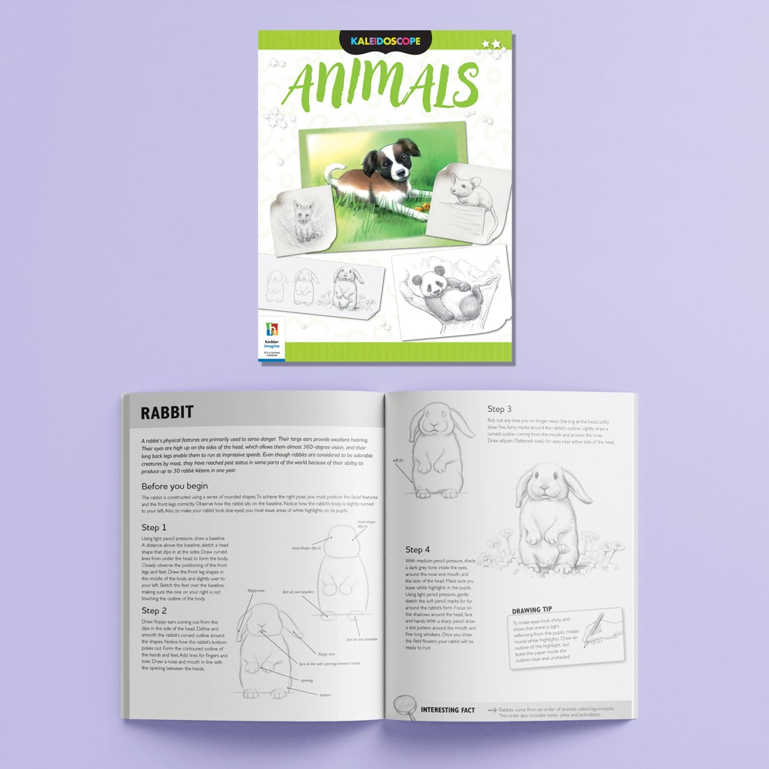 5 Kaleidoscope: Amazing Things to Draw - Book, 5 of 8