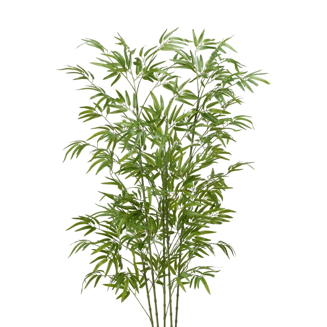 2 Tall Artificial Bambusa Tree, 2 of 3