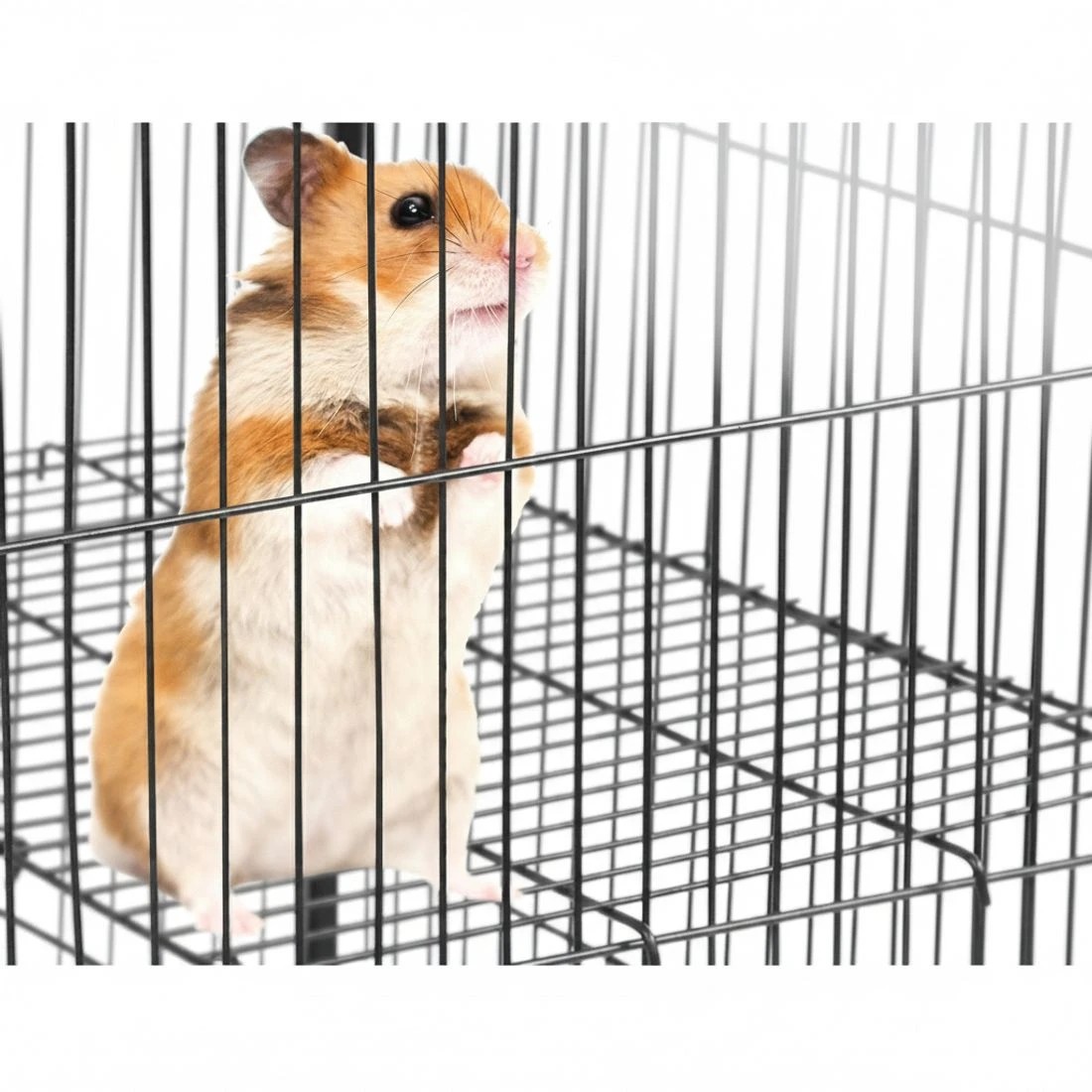 4 i.Pet Rabbit Cage 142cm Hutch 4 Level Bird Guinea Pig Ferret - Black, 4 of 6
