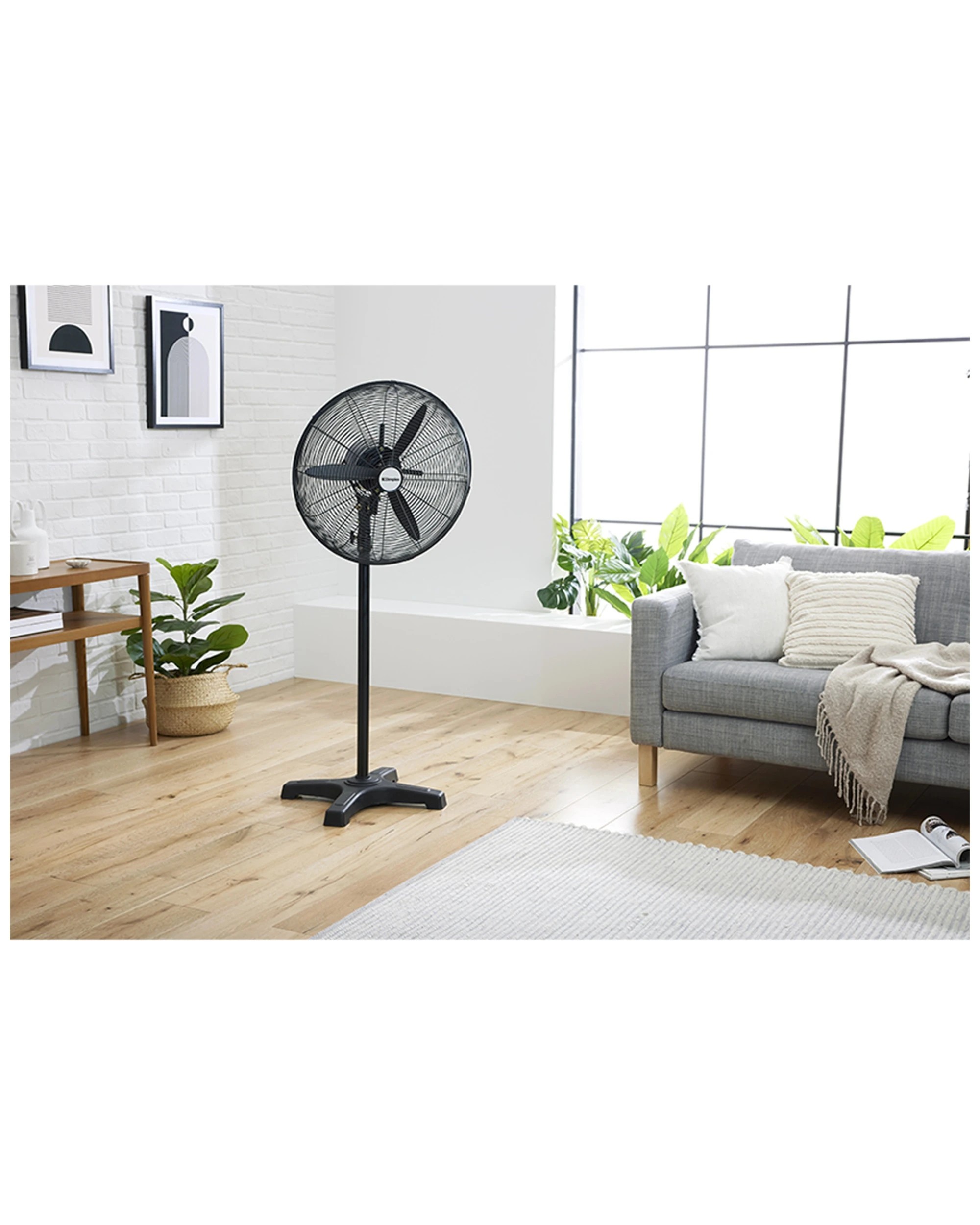 4 Dimplex Pedestal Fan Oscillating Fan Three Speed Fan Aluminium Blades Powerful
 - black, 4 of 4