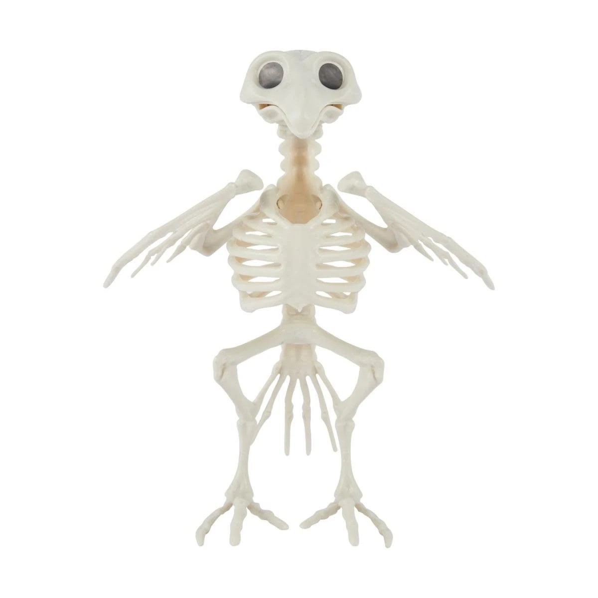 2 Bird Skeleton, 2 of 6