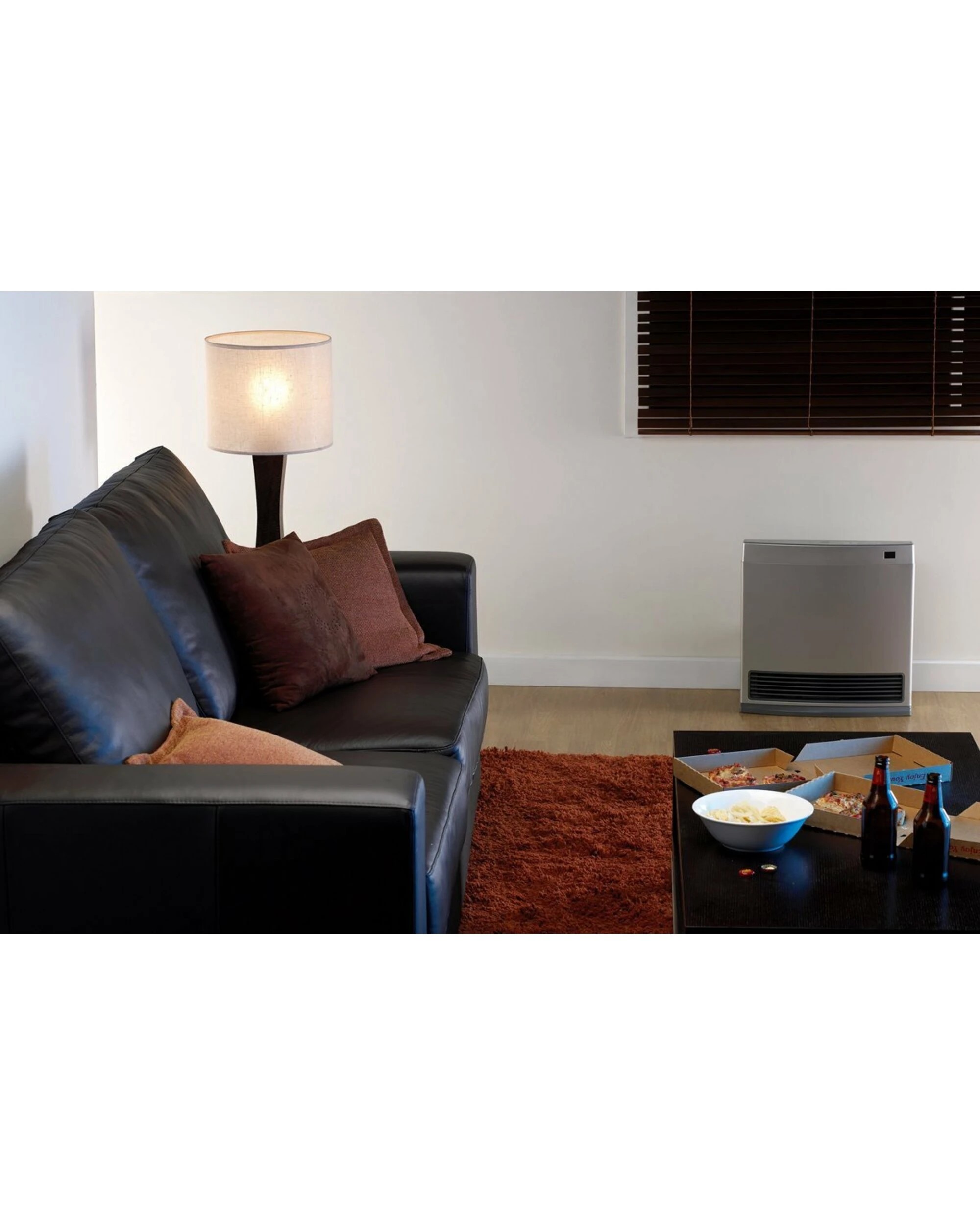 3 Rinnai Dynamo LPG Heater, 3 of 5