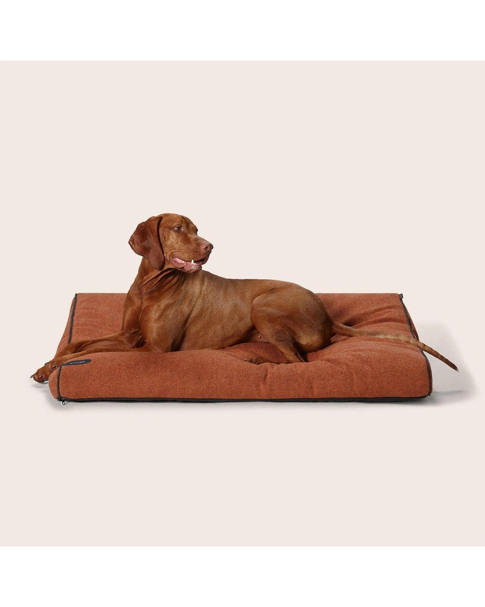4 Snooza Modern Daybed Thick Cosy Durable Pet Dog Bed Paprika Large, 4 of 5