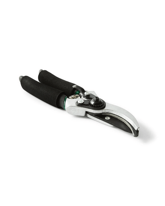 Secateurs