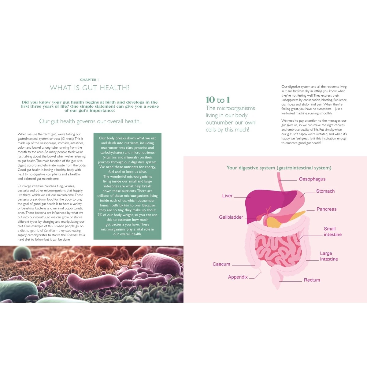 2 The Gut Repair Plan by Sarah Di Lorenzo - Book, 2 of 7