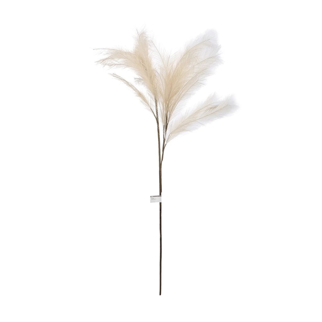 3 Artificial Pampas Grass Natural, 3 of 4