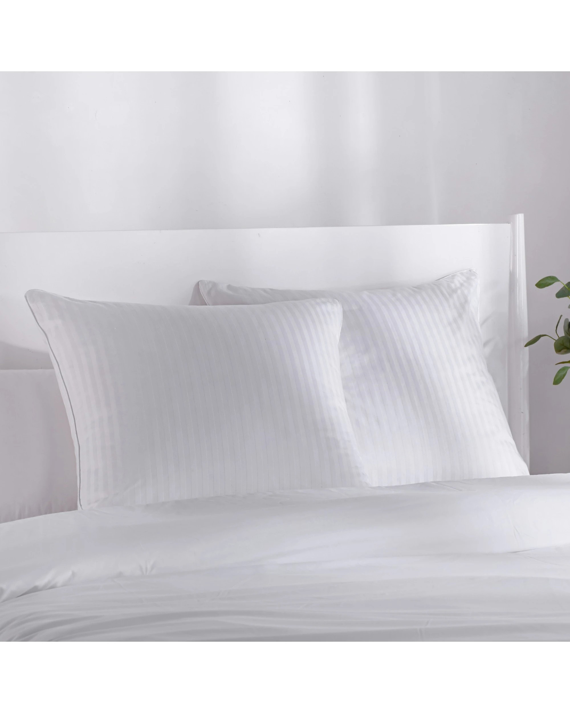 1 Dreamaker Premium 100% Cotton European Pillow Protector Twin Pack 65x65cm - White, 1 of 4