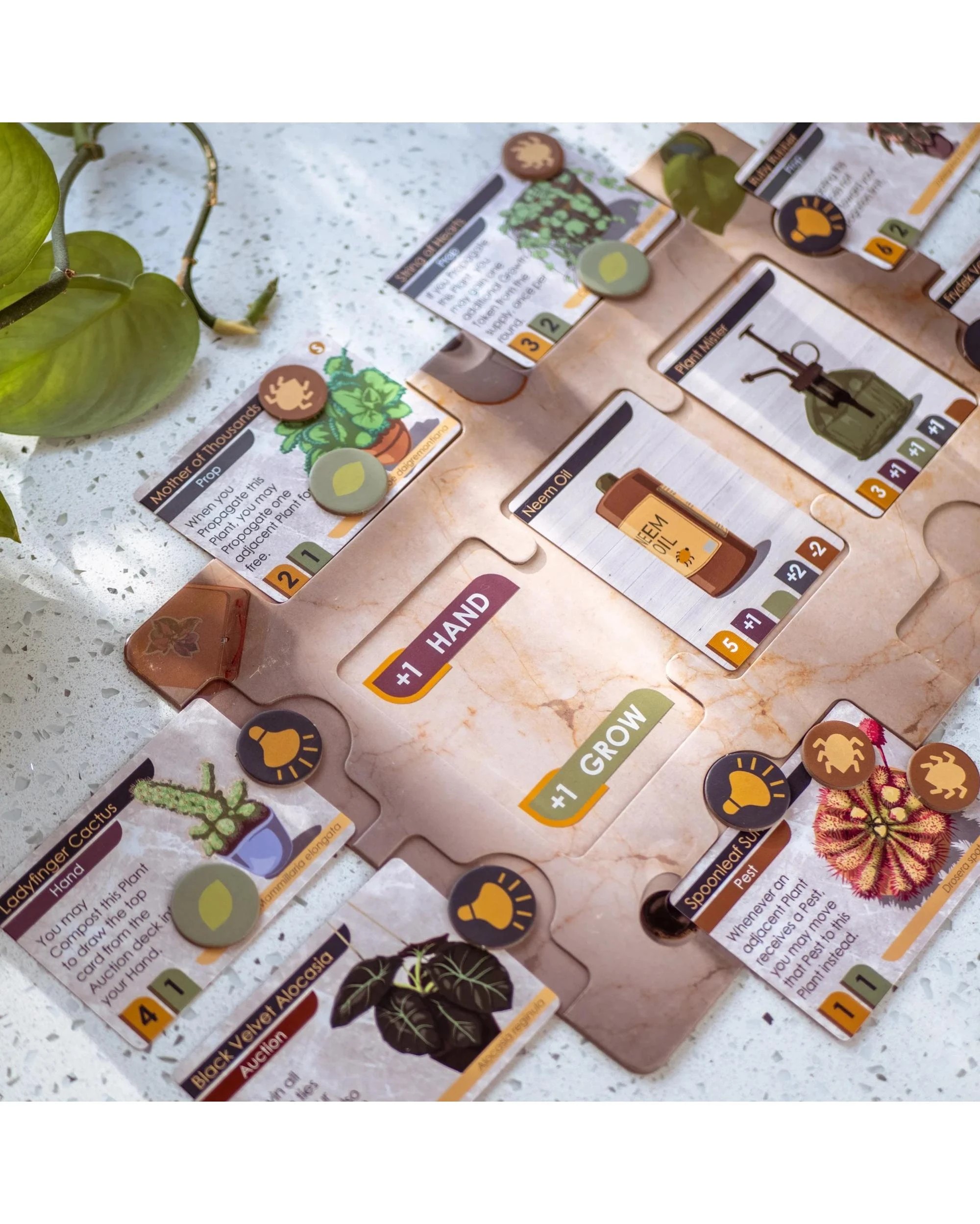 4 Propagation Station Card Game, 4 of 7