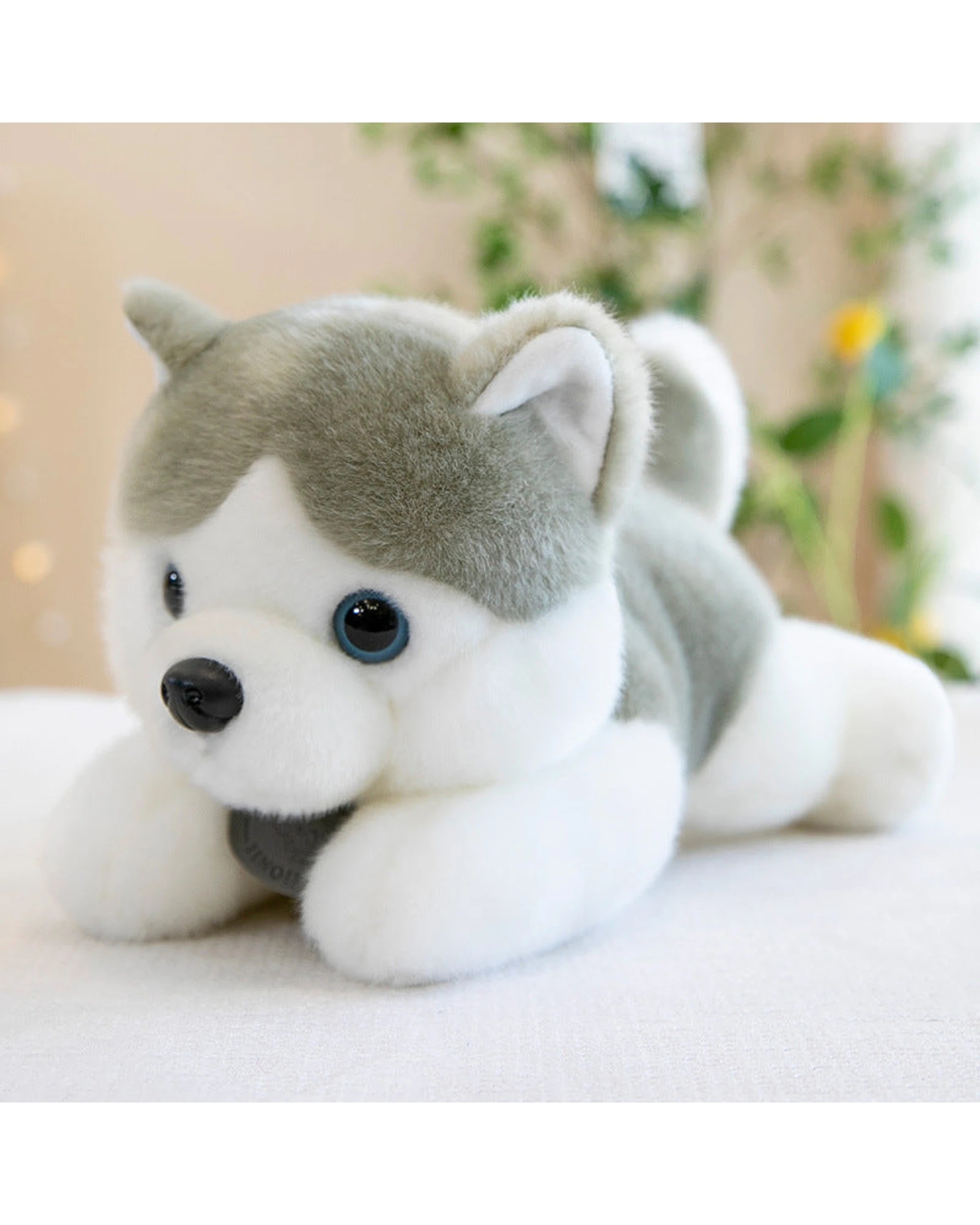 3 Cotton More Cute Siberian Husky Plush Toy 28cm - Multi, 3 of 3