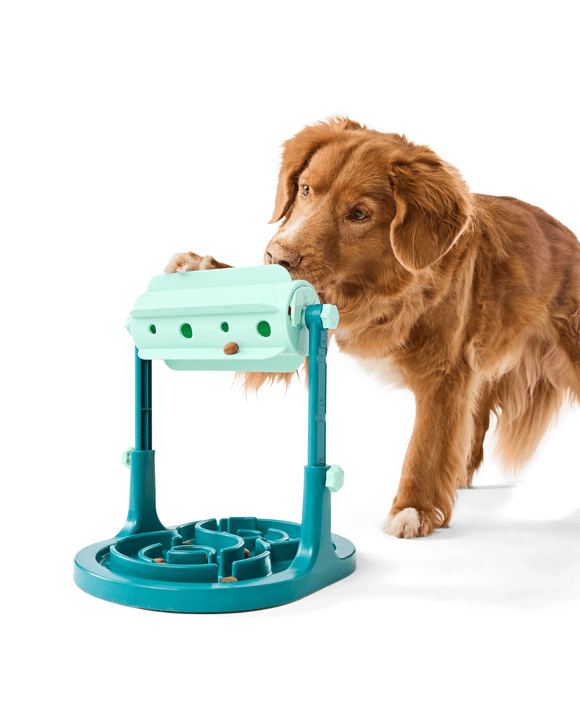 Pet IQ Toy Dispenser