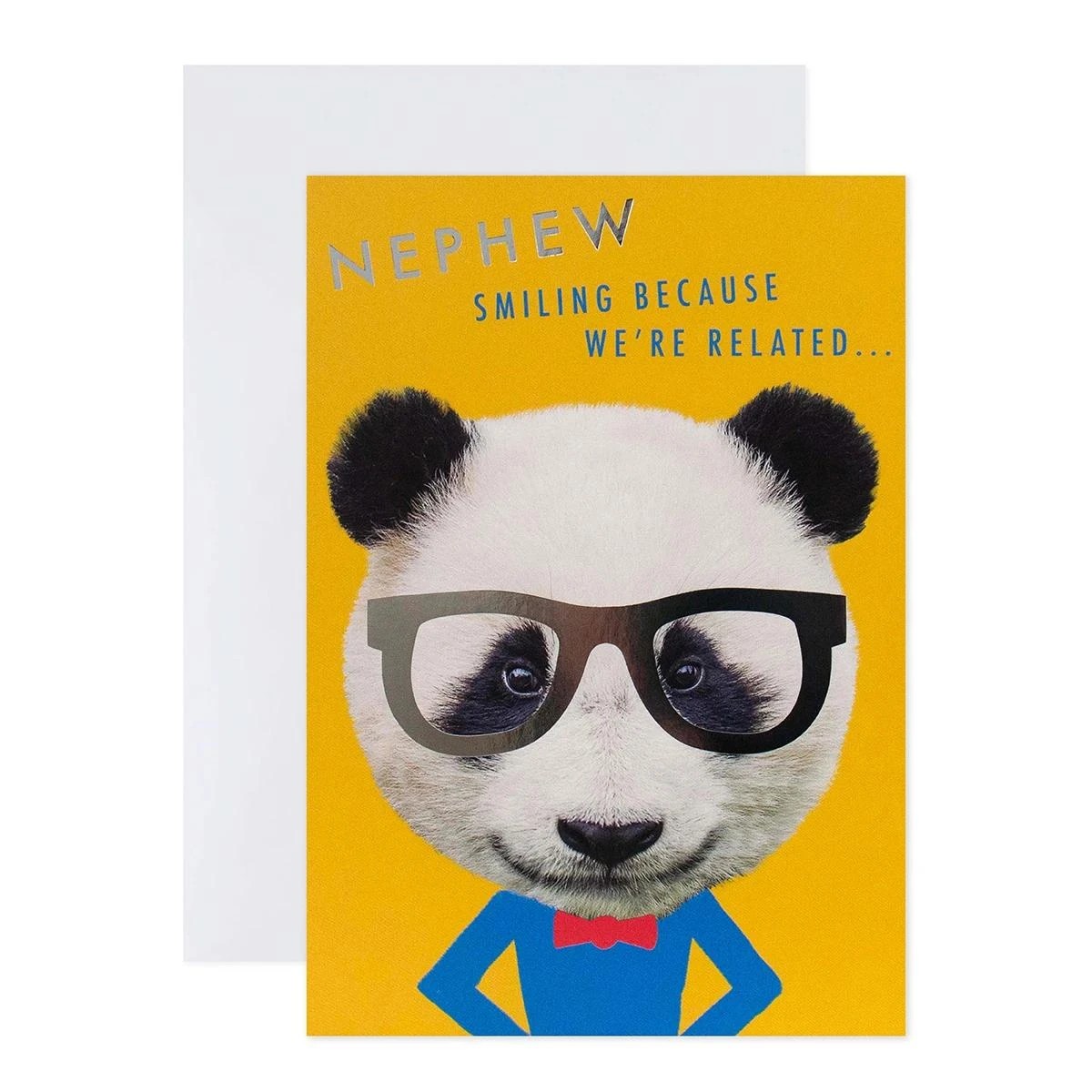 1 Connections from Hallmark Birthday Card for Nephew - Panda with Glasses, 1 of 3
