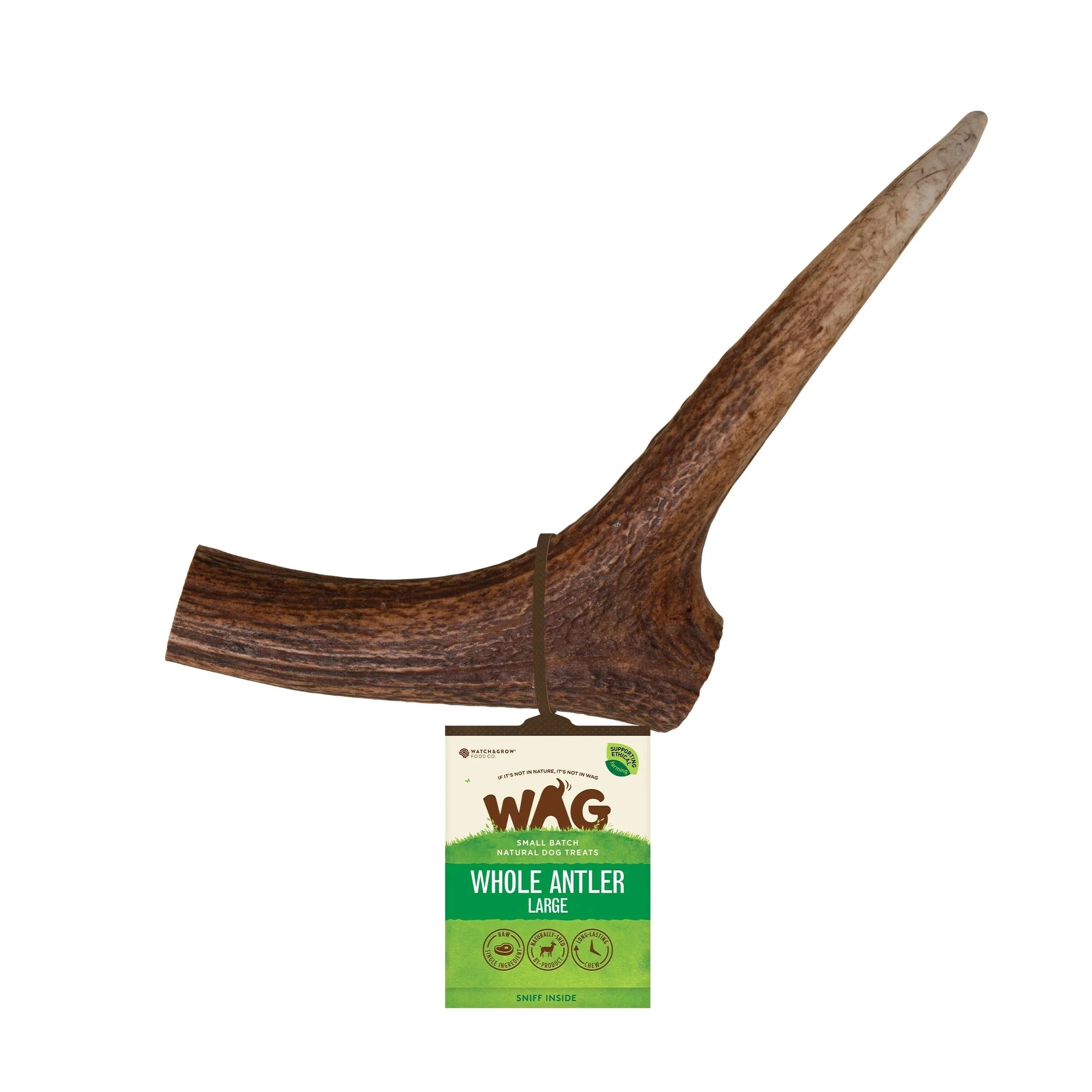 1 WAG Antler Whole Large Treat, 1 of 2
