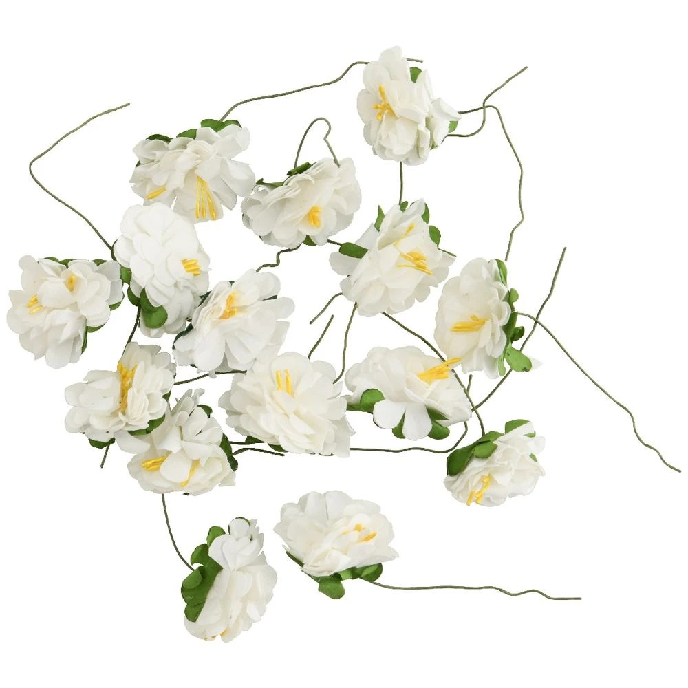 2 Born Paper Daisies 15 Pack, 2 of 2