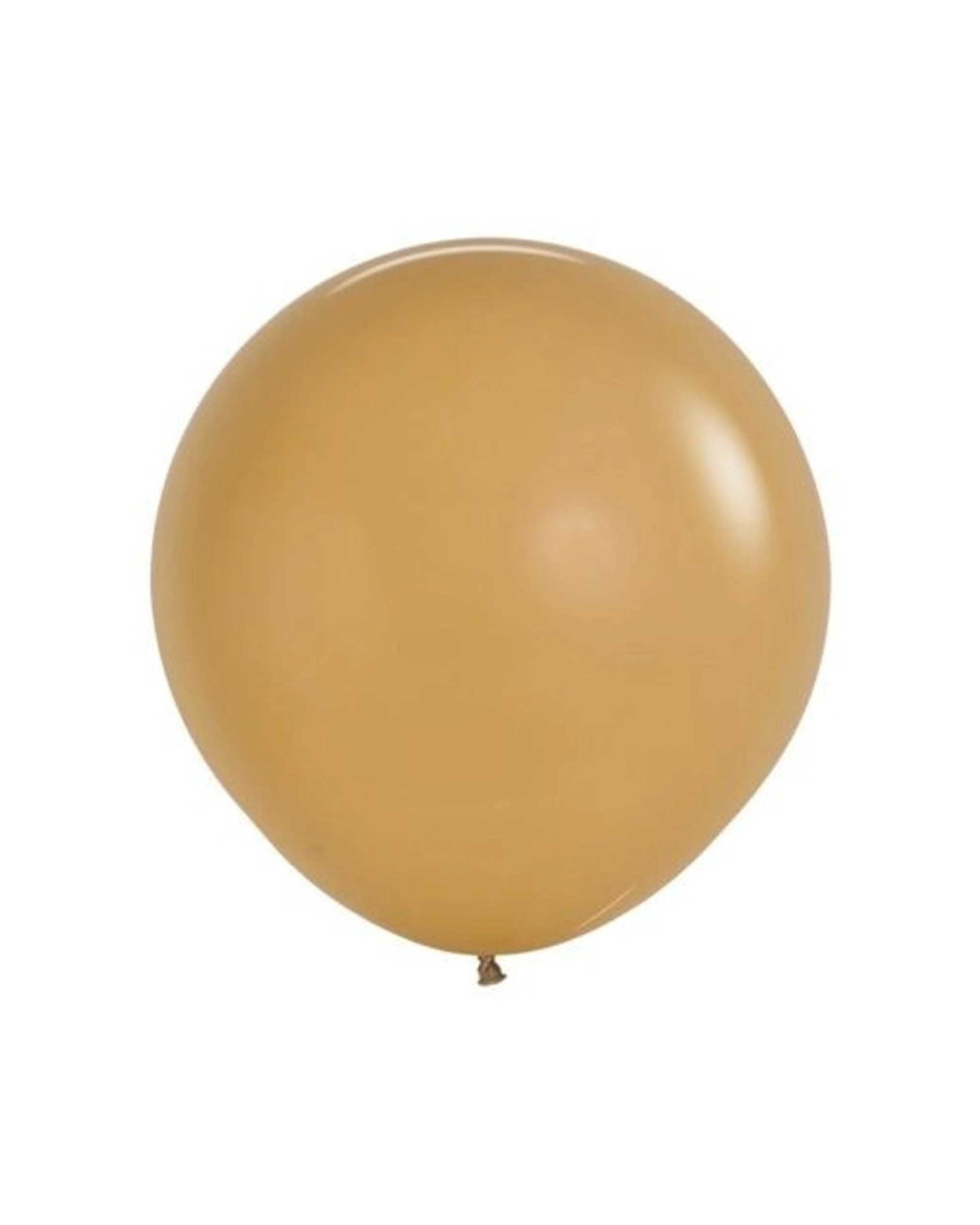 1 Alpen 2pc Sempertex Balloon Pack Party Supplies 60cm Fashion Latte - Beige, 1 of 1