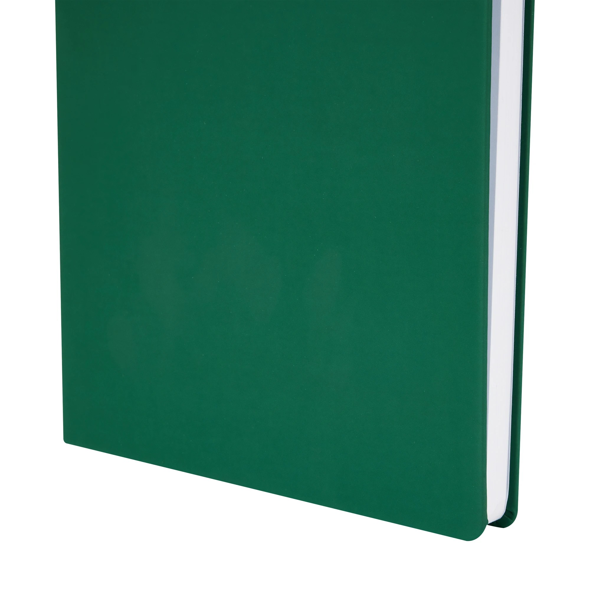 4 11in. x 8in. Sketch Book - Forest, 4 of 6