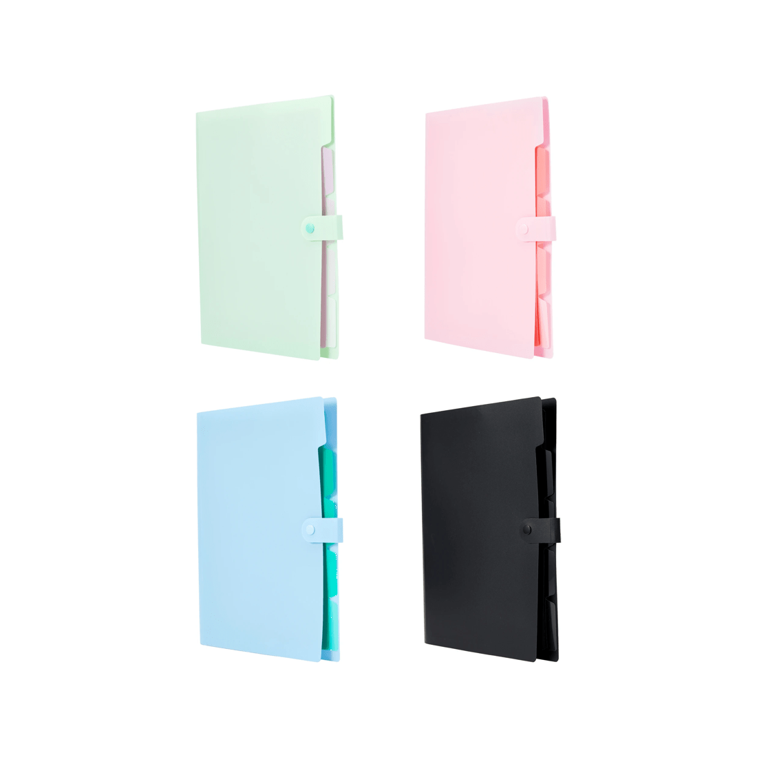 1 A4 Expansion File - Assorted, 1 of 8