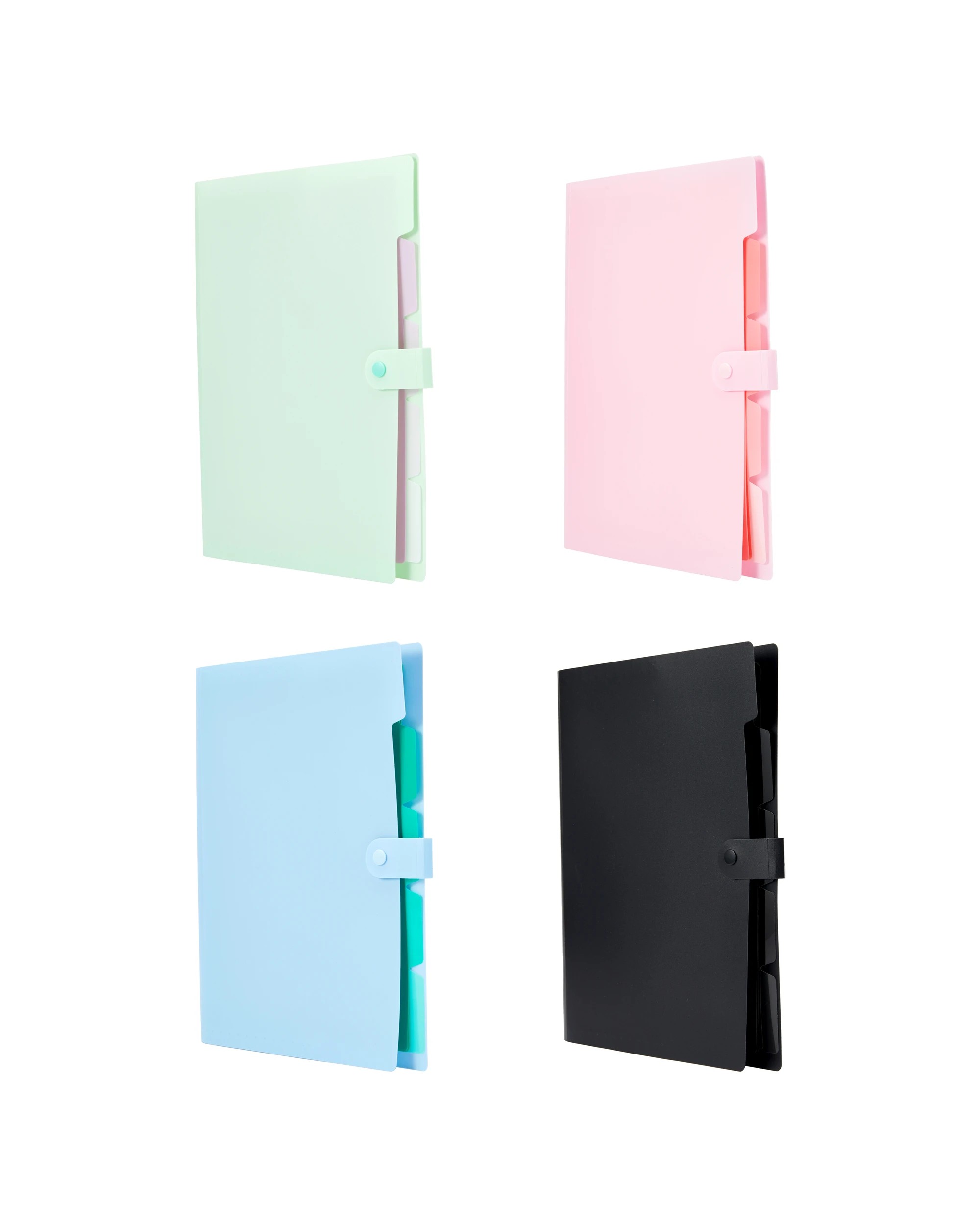 1 A4 Expansion File - Assorted, 1 of 8