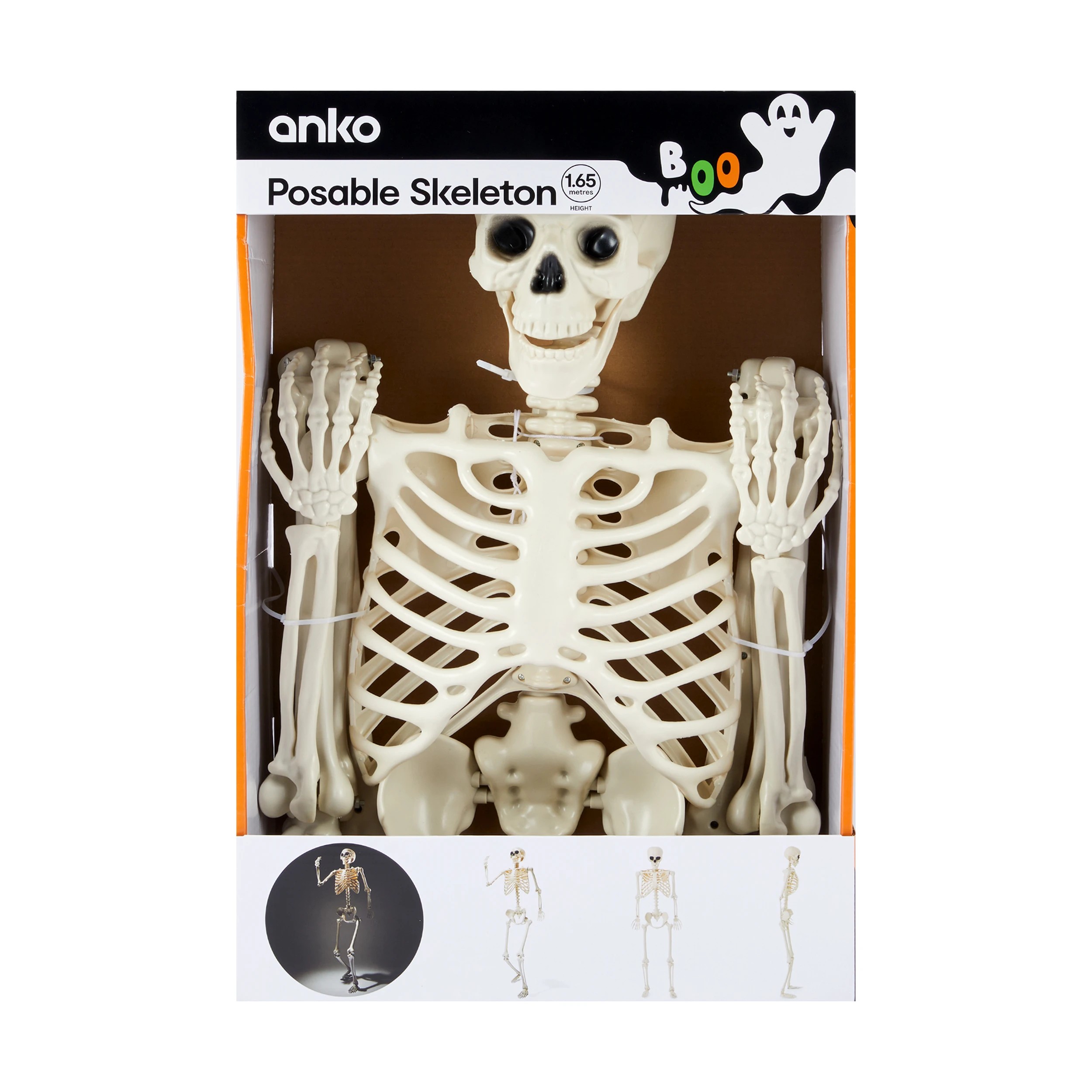 5 Posable Skeleton, 5 of 6