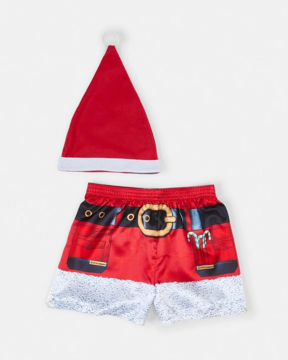 Printed Satin Boxers with Santa Hat