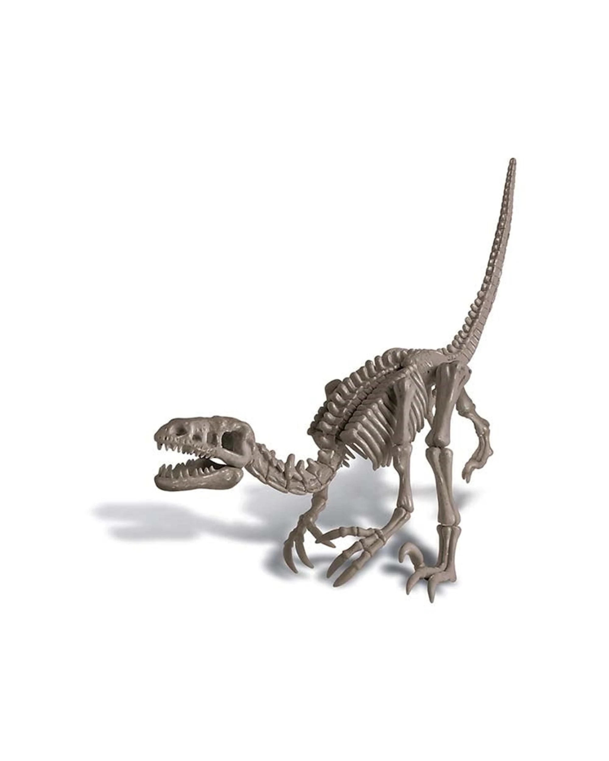2 4M KidzLabs Dig A Dinosaur Velociraptor Hidden Bones Kids Fun Learning Toy, 2 of 3