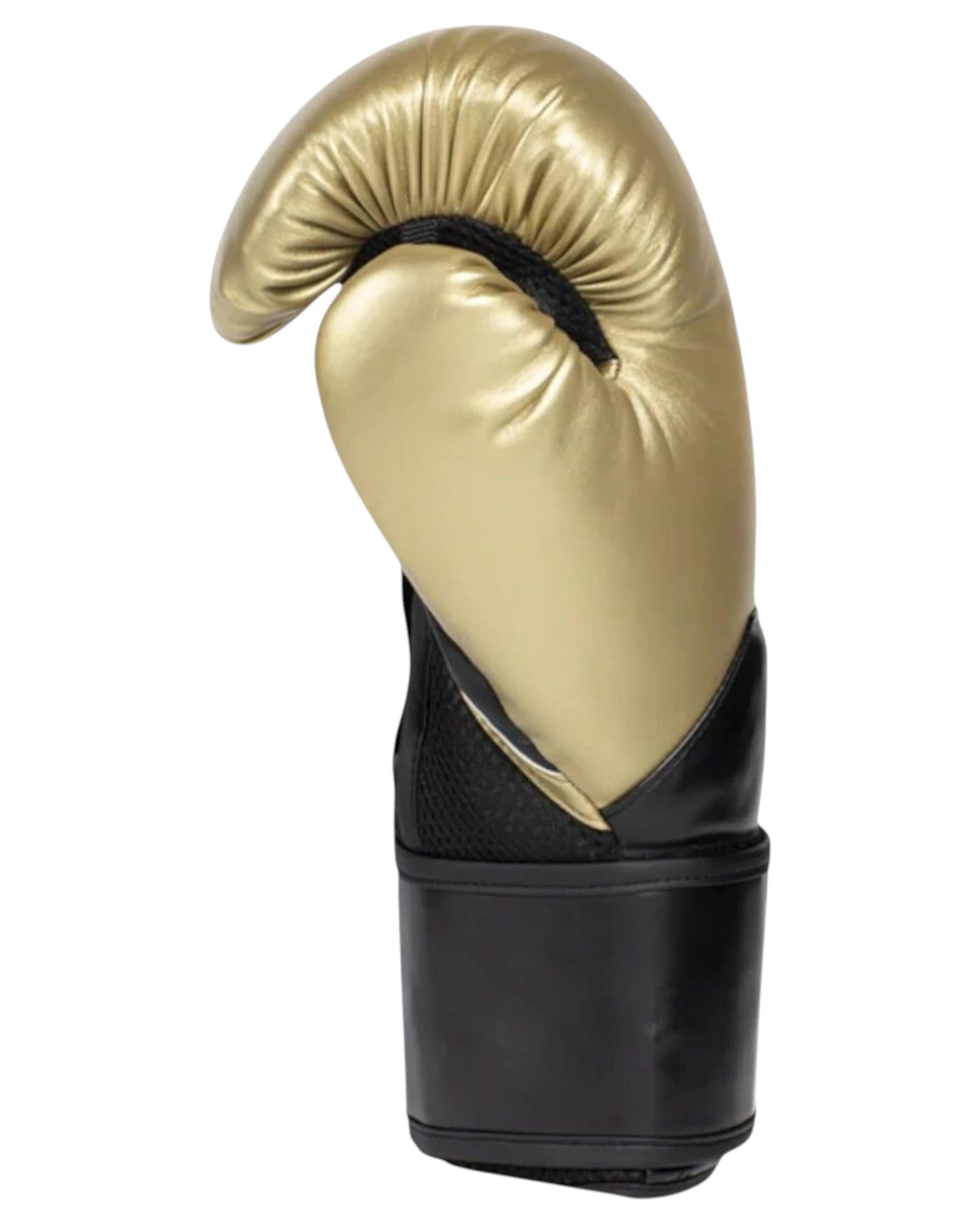 3 Everlast Elite 2 Training Boxing Gloves 12oz - Multi, 3 of 4