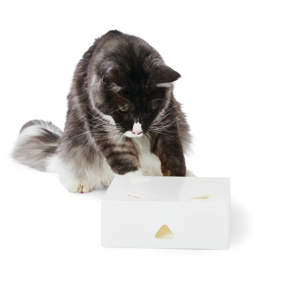 1 Cat Enrichment Toy, 1 of 10