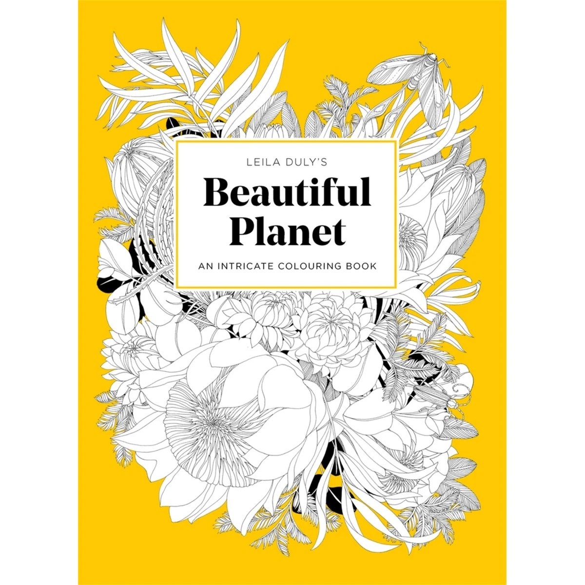 1 Beautiful Planet: An Intricate Colouring Book by Leila Duly