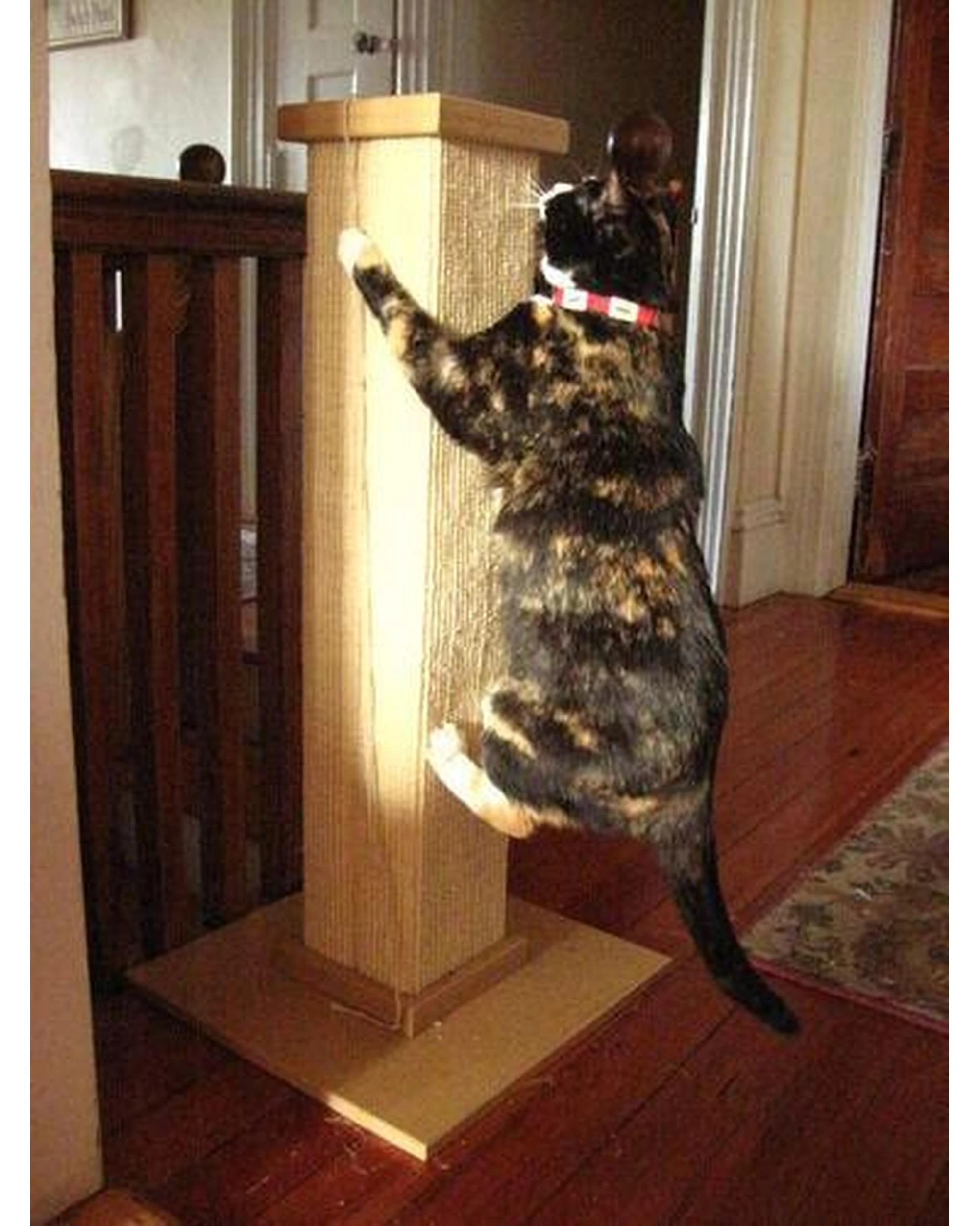 3 SmartCat Ultimate Cat Scratching Post Brown 32 Inch, 3 of 8