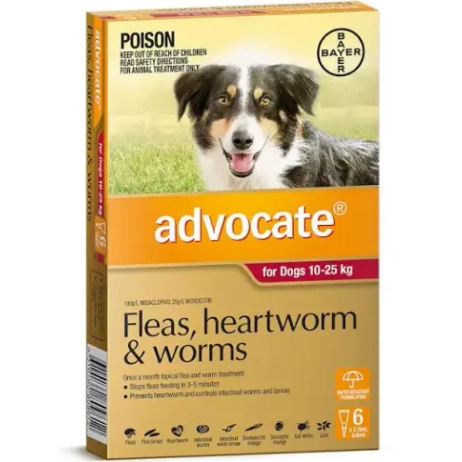 1 Advocate For Dogs Large Red 10-25kg - 6 Pack, 1 of 2