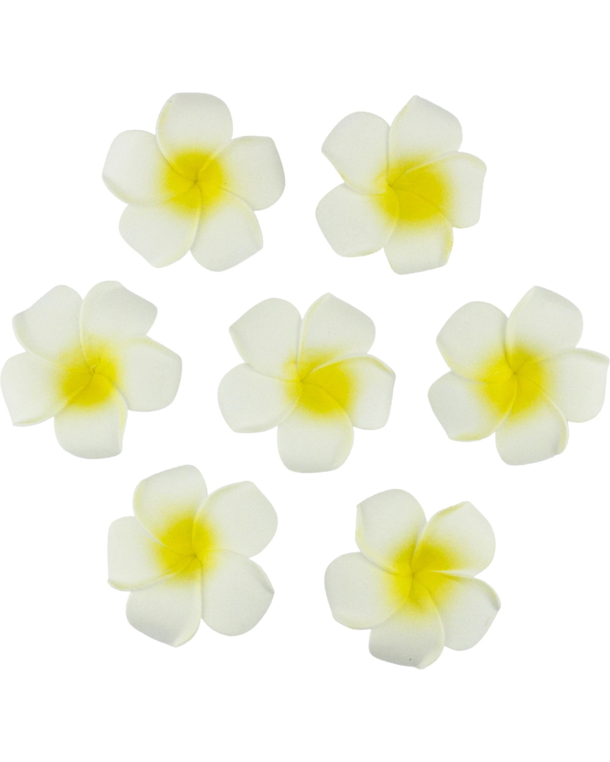 1 Party Maker White Foam Frangipani Flowers 5cm Pack of 10, 1 of 1