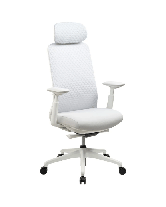 Pago Eris Ergonomic Office Chair Opal White Ergonomic Chairs and Desk Chairs