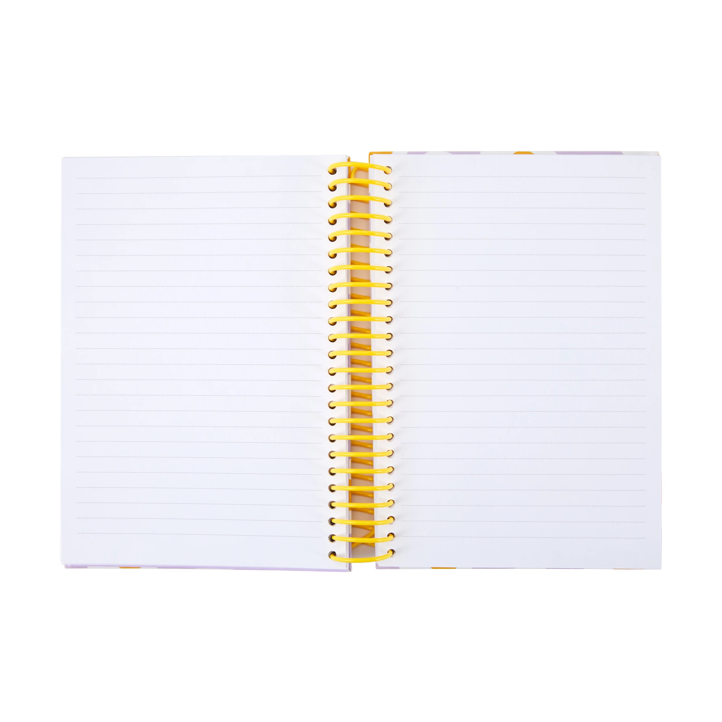 2 Egg Notebook, 2 of 4