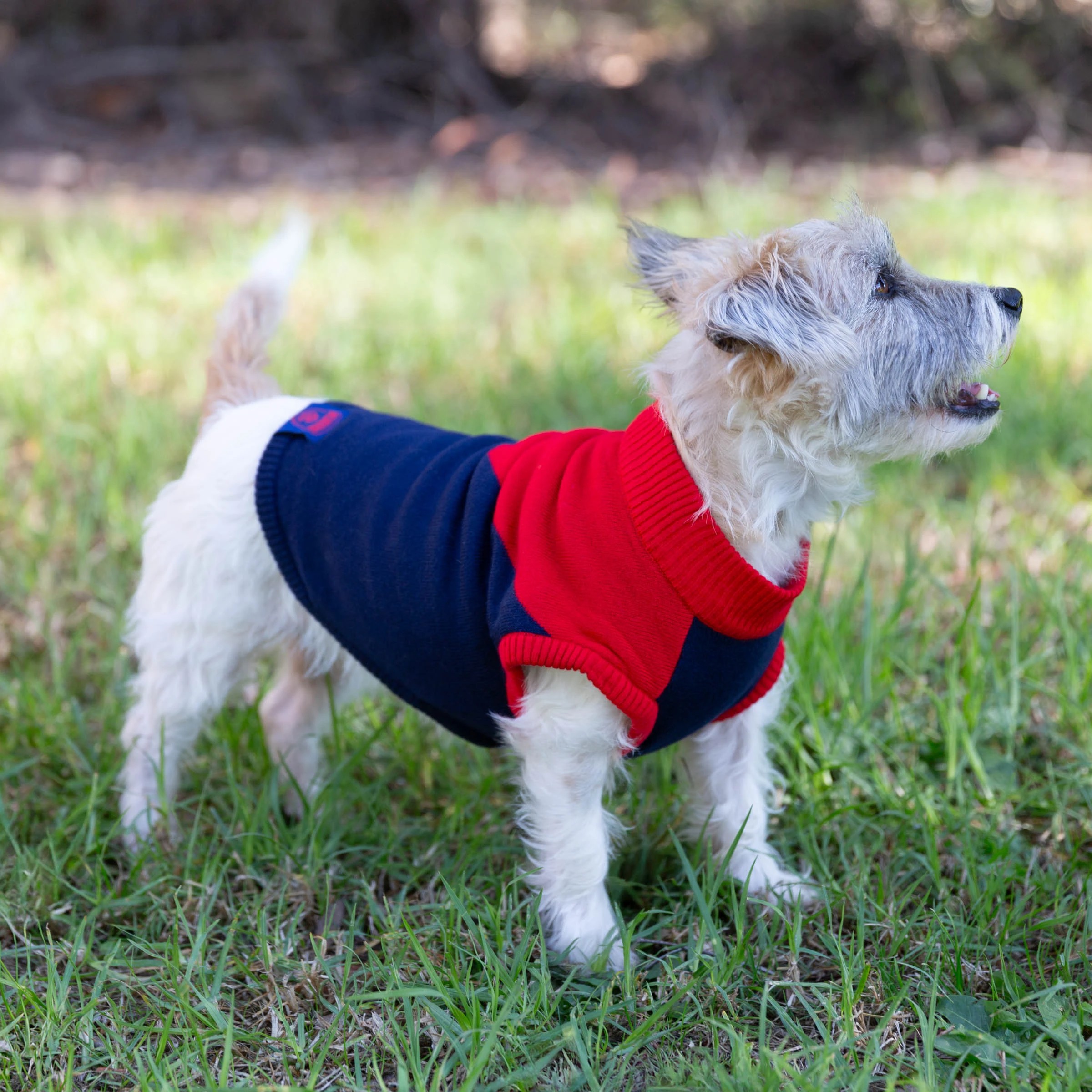 4 AFL Melbourne Demons Pet Jumper - Small, 4 of 4