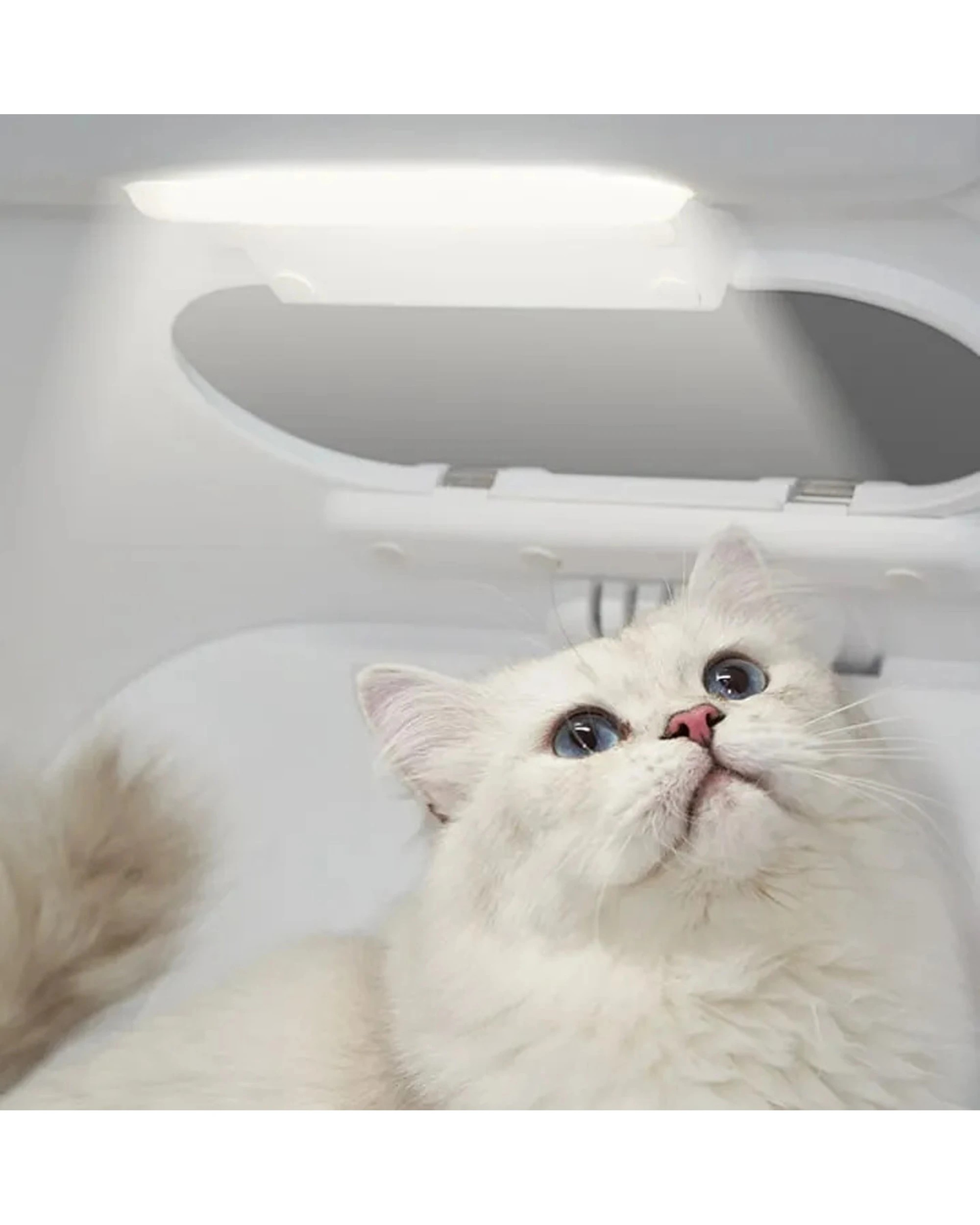 4 Petkit Airsalon Smart Pet Dryer Box 60L App Control Cats And Small Dogs - White, 4 of 5