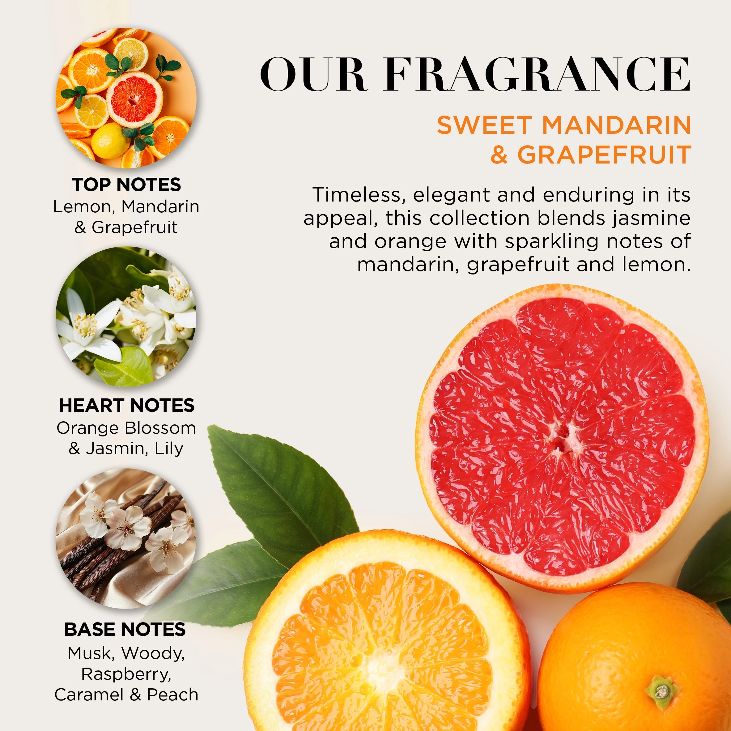 2 Anko Baylis & Harding 3 Piece Signature Collection - Sweet Mandarin and Grapefruit - Multi, 2 of 5