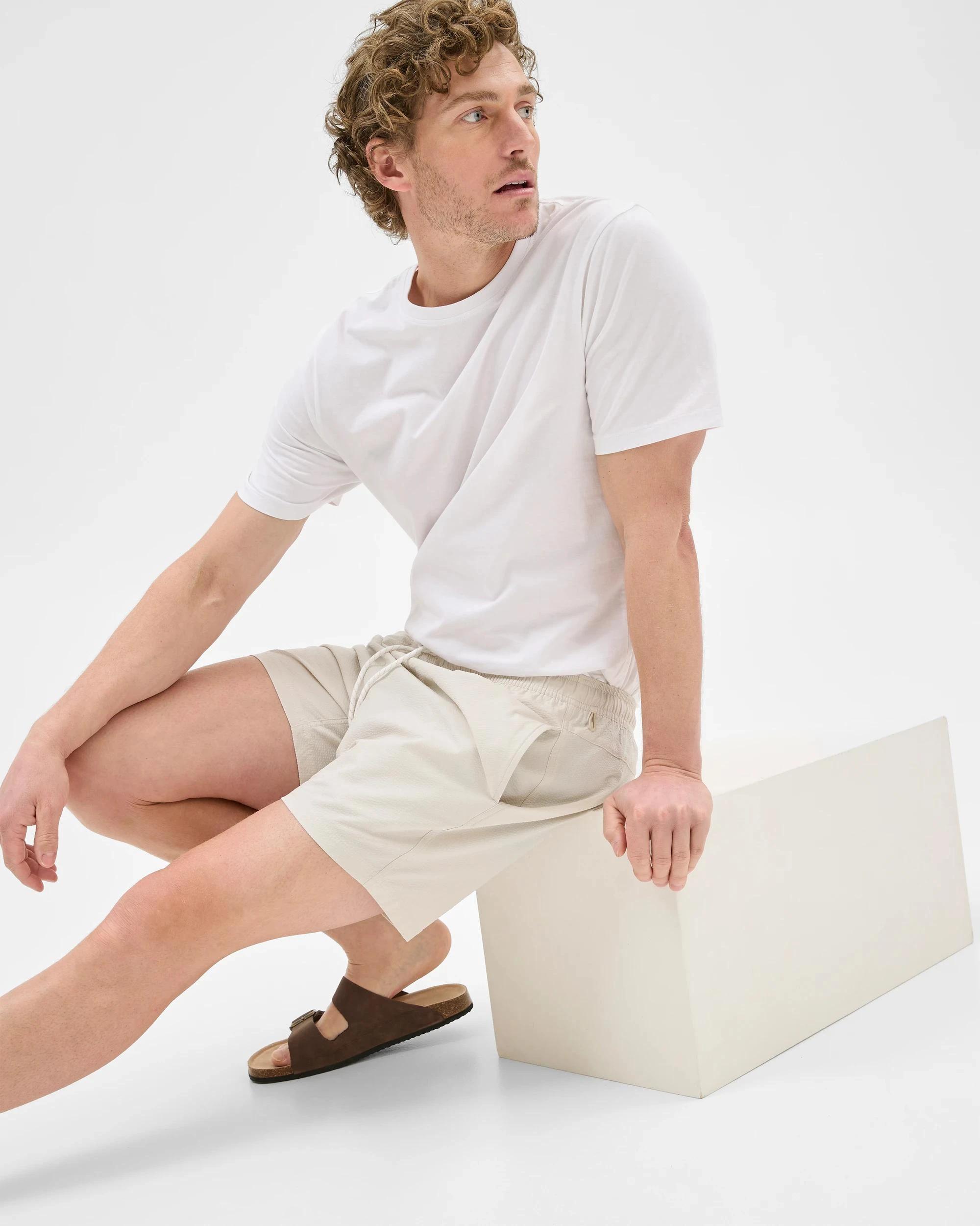 2 Target Seersucker Swim Boardshorts STONE, 2 of 6