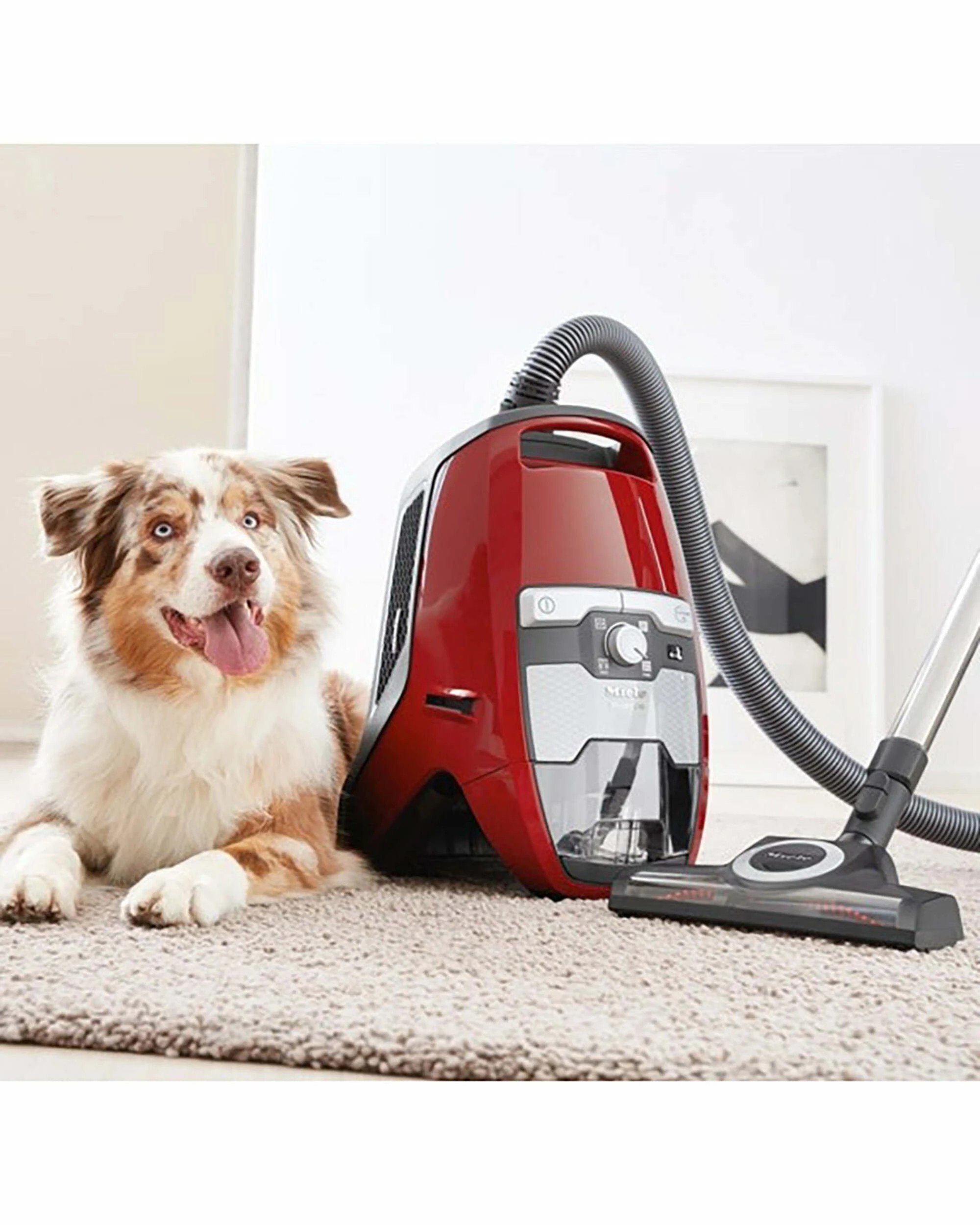 4 Miele Blizzard Cx1 Cat & Dog Bagless Vacuum Cleaner - Autumn Red - RED, 4 of 5